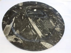 Vintage Authentic Fossil Plate