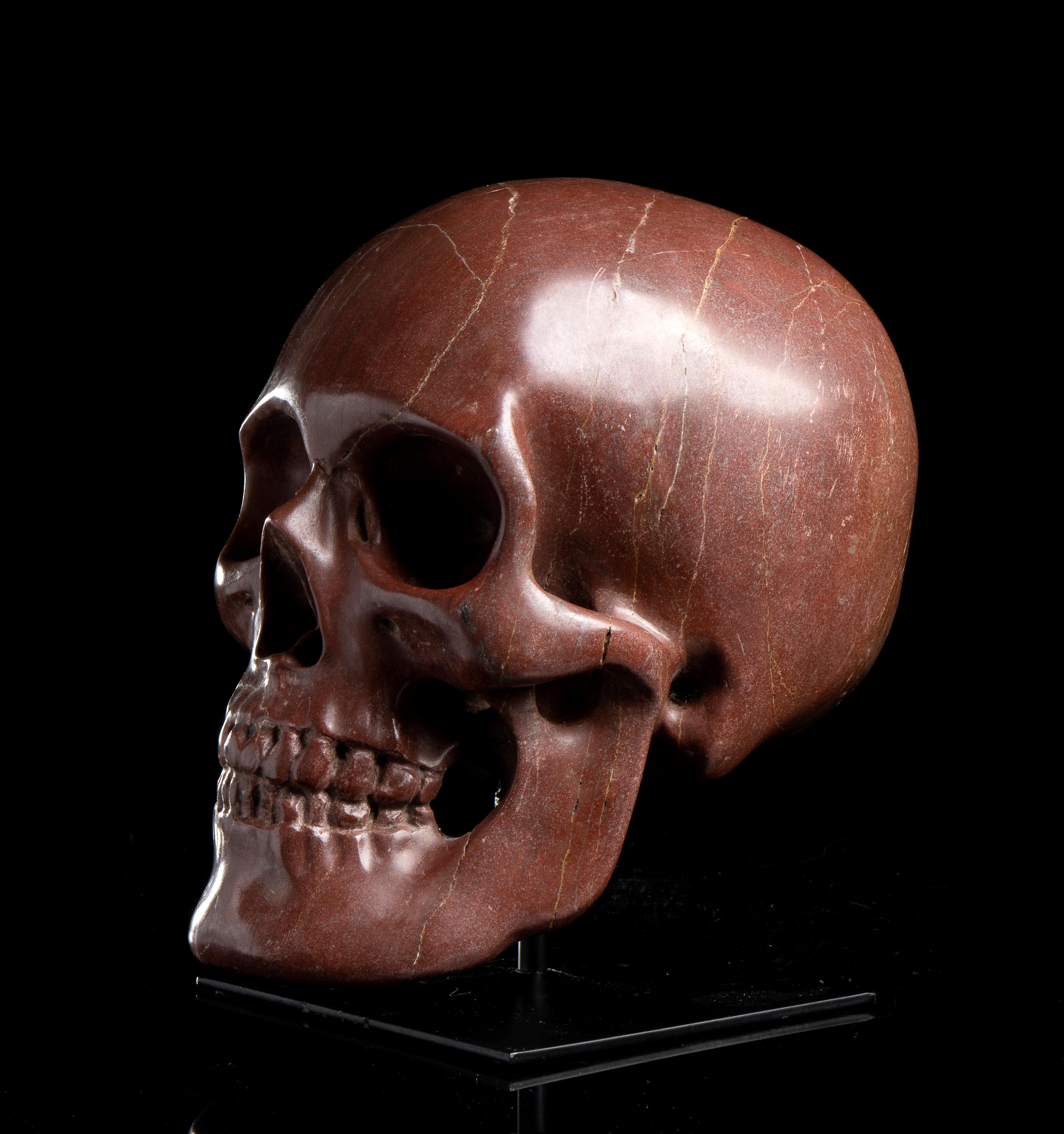 Le crâne, sculpté dans le rare marbre Rosso antico, est un exemple important de l'œuvre d'art Vanitas qui devint très courante au XVIIe siècle.
Le concept exprime la transcendance de l'origine de la vie reflétée par l'aspect de la nature et du