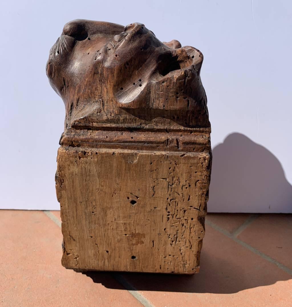 Scultore barocco veneziano - Coppia di leoni in legno del XVII secolo in vendita 6