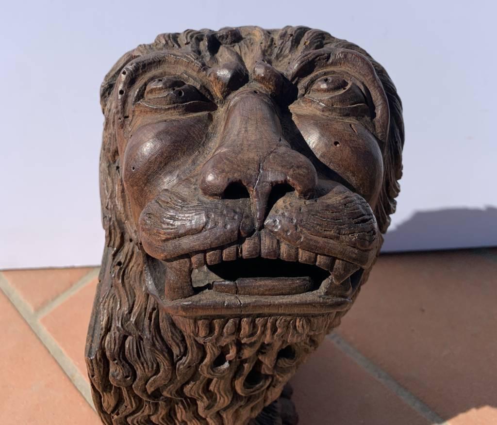 Scultore barocco veneziano - Coppia di leoni in legno del XVII secolo in vendita 8