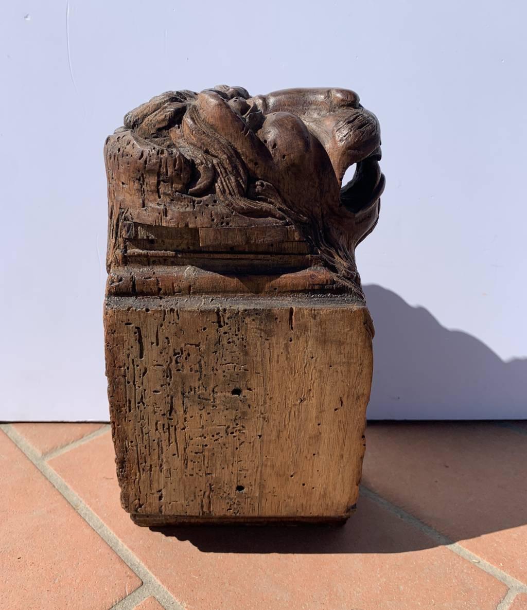 Scultore barocco veneziano - Coppia di leoni in legno del XVII secolo in vendita 11