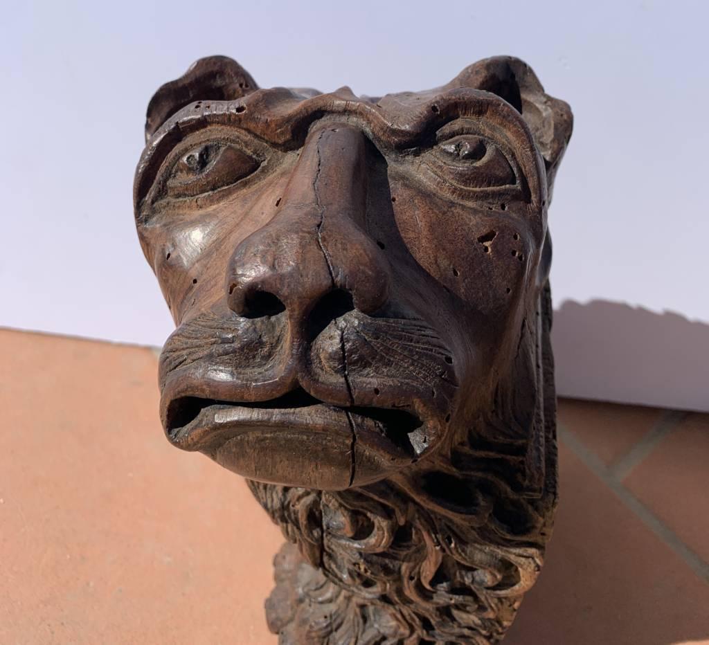 Scultore barocco veneziano - Coppia di leoni in legno del XVII secolo in vendita 2