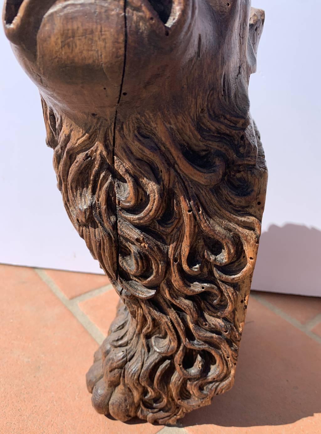 Scultore barocco veneziano - Coppia di leoni in legno del XVII secolo in vendita 3