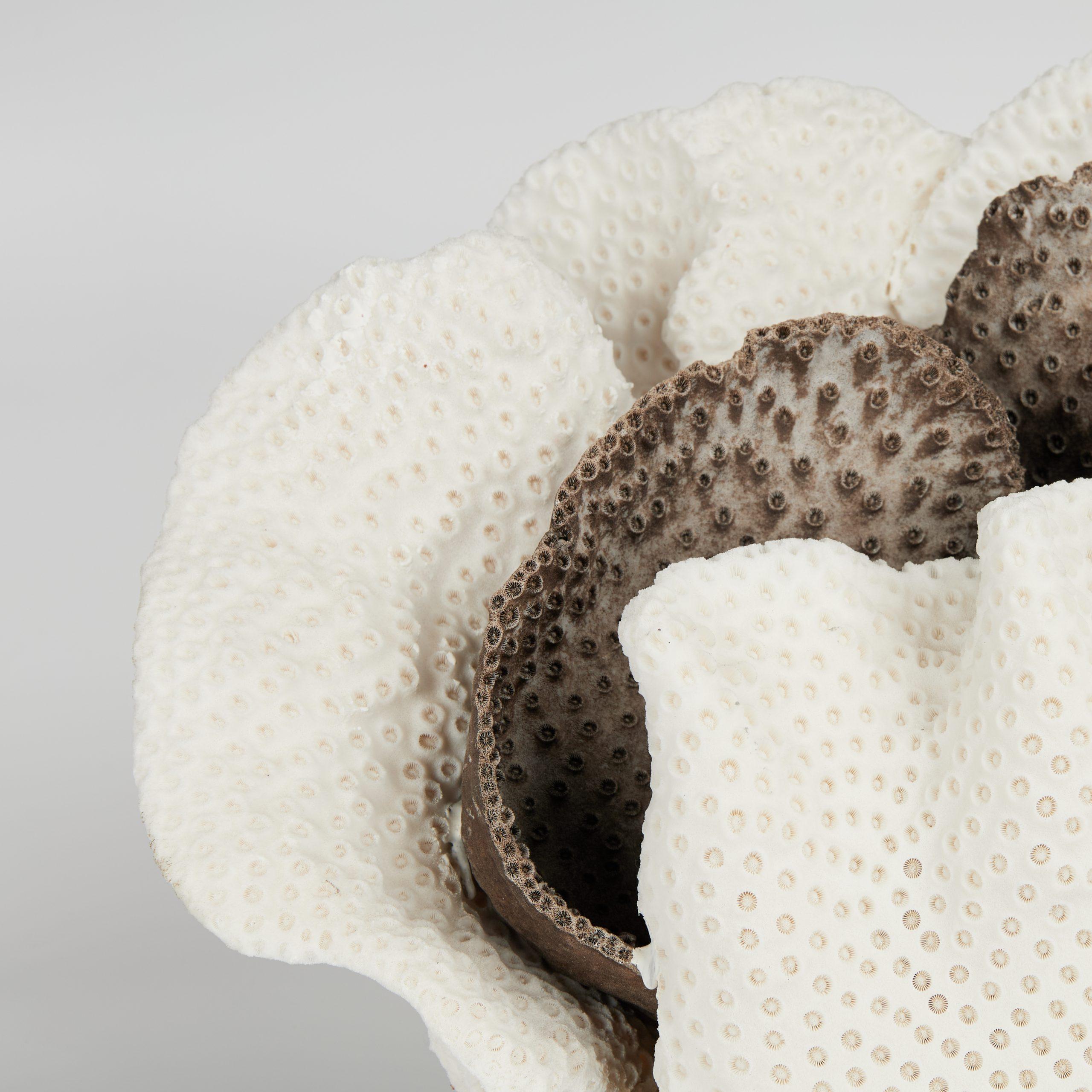 Centre de table en corail en forme de coupe, noir et blanc, sur pierre de Coquina - Abstrait Sculpture par Unknown