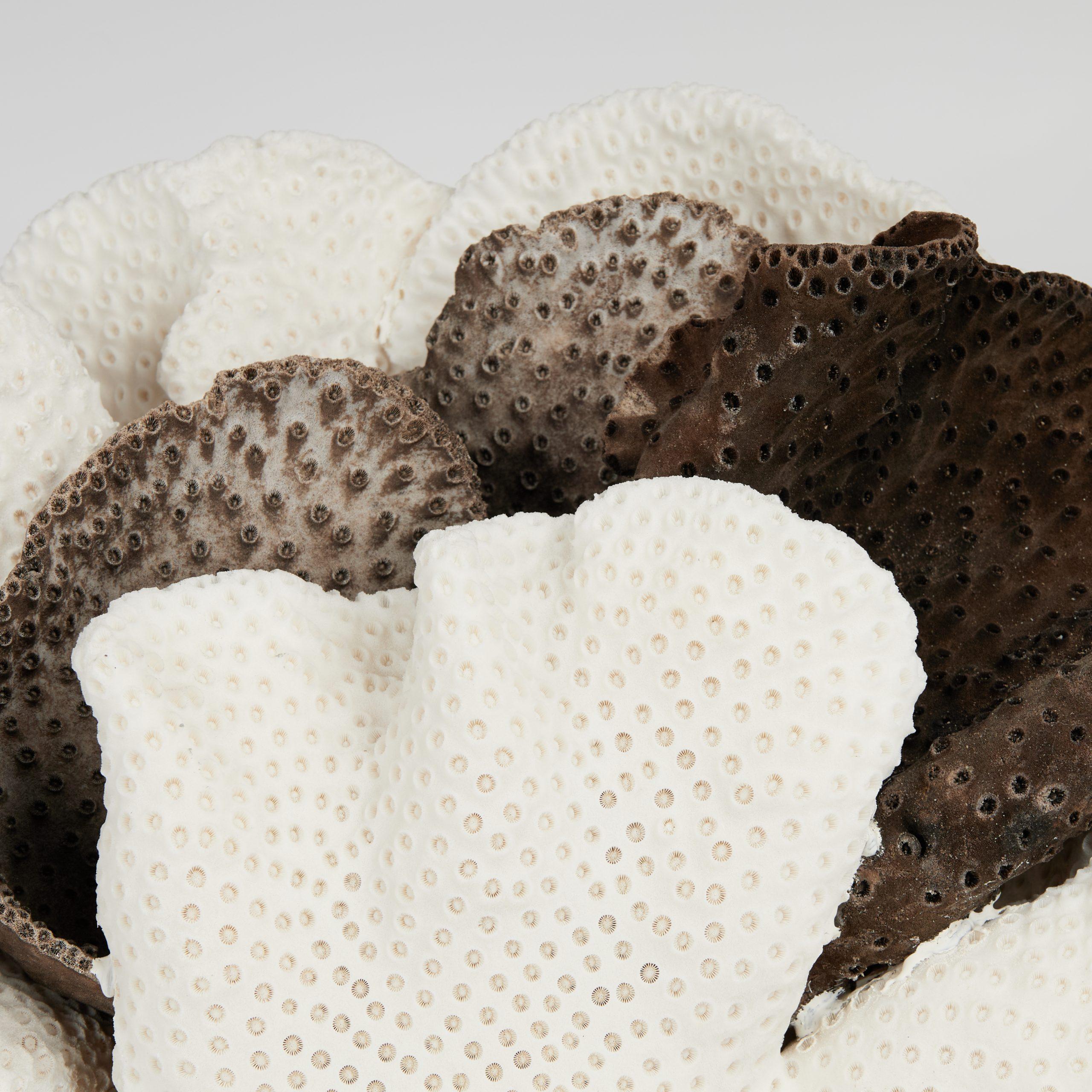 Centre de table en corail en forme de coupe, noir et blanc, sur pierre de Coquina - Gris Abstract Sculpture par Unknown