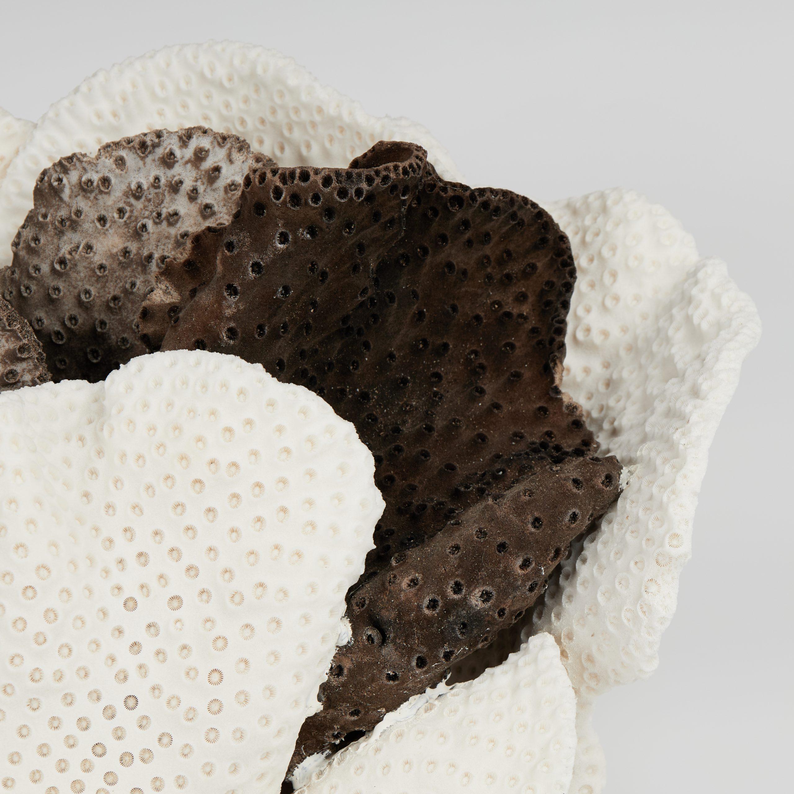 Impressionnant assemblage de coraux en forme de coupe, avec ses couleurs noires et blanches frappantes et sa texture inspirée de la mer, conçu et réalisé par F. S. Henemader. Présenté sur une base en pierre de coquina pour mettre en valeur les