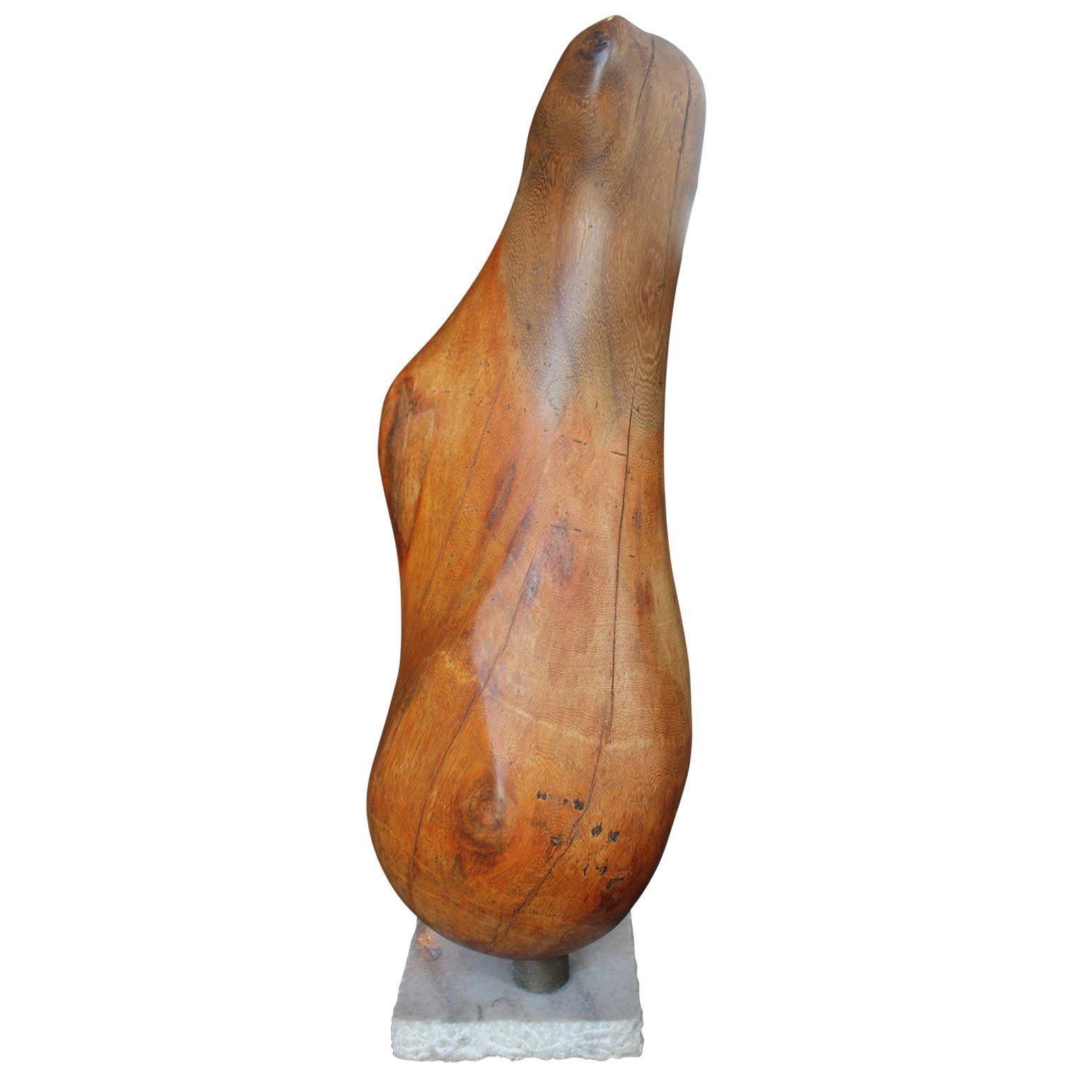 Brazilian Biomorphic Fruit Wood Sculpture with Marble Base - Brown Abstract Sculpture by Unknown