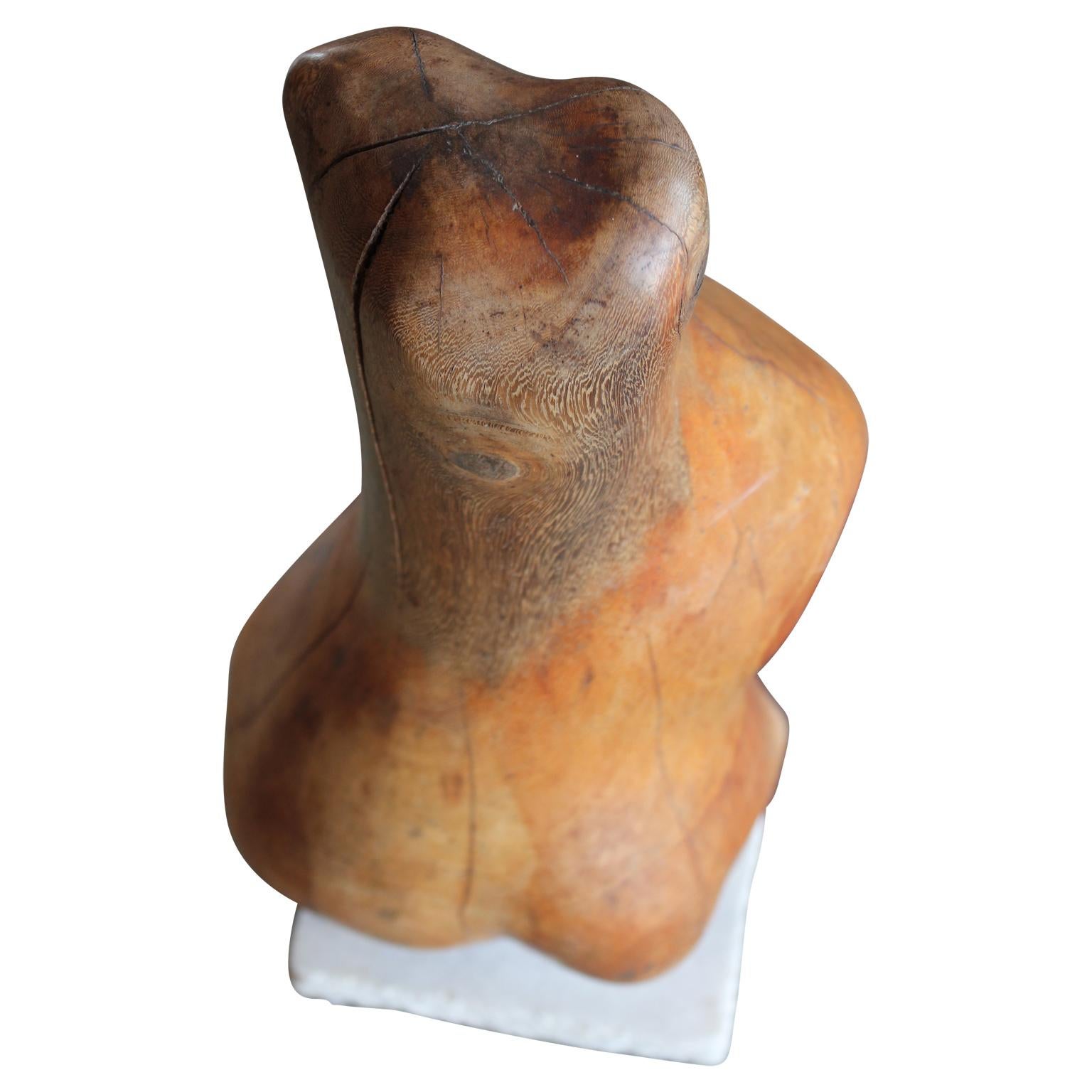 Brazilian Biomorphic Fruit Wood Sculpture with Marble Base 2