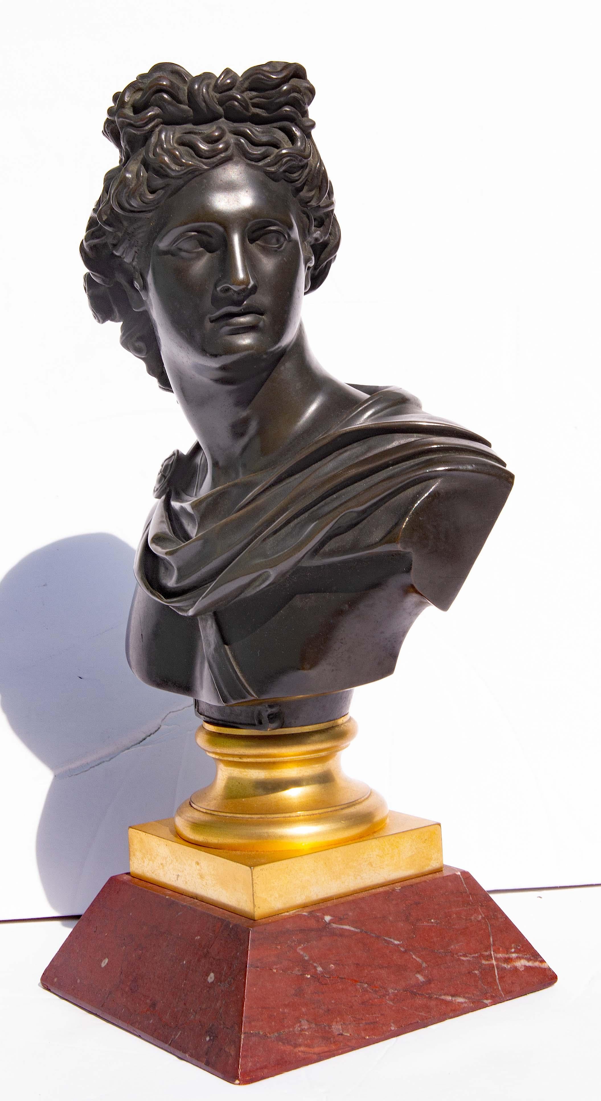 Bronze Bust of Apollo Belvedere Grand Tour 19th Century - Gold Nude Sculpture by Unknown