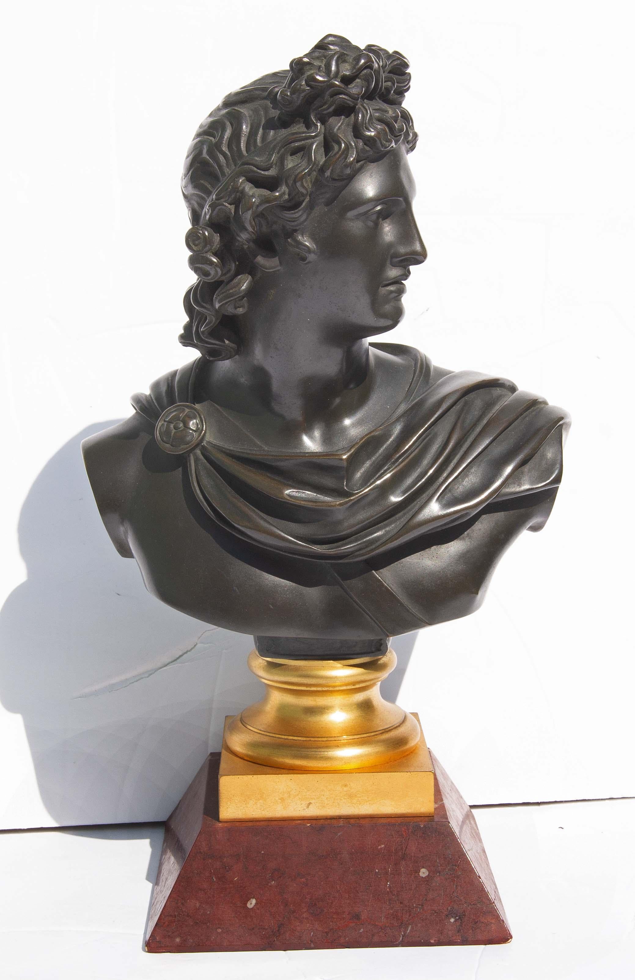 Buste d'Apollon Belvédère en bronze du Grand Tour du 19ème siècle