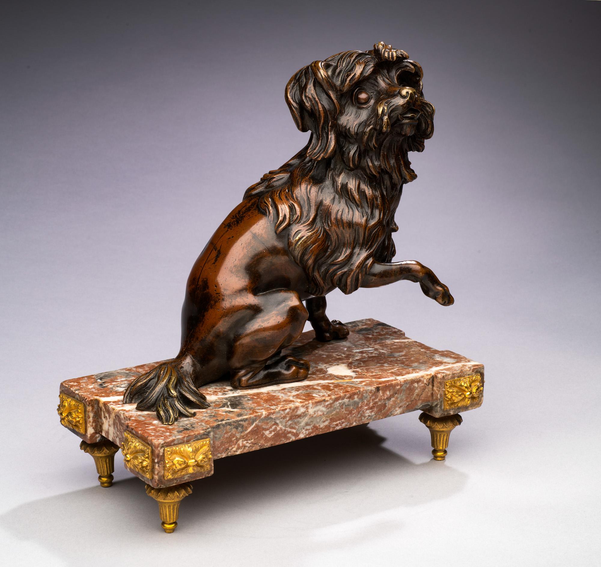 Antique 19th century Bronze Dog Portrait of a Maltese on a Marble Base - Sculpture by Unknown