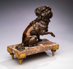 Antique 19th century Bronze Dog Portrait of a Löwchen on a Marble Base