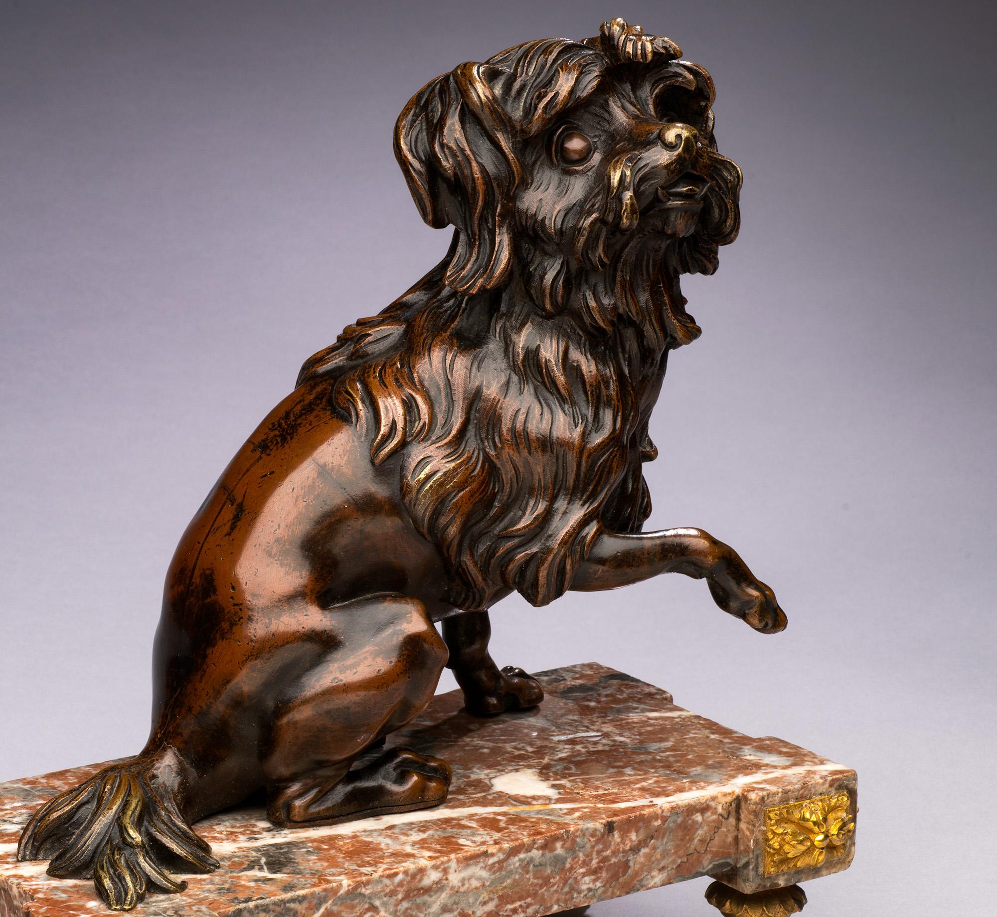 Antique 19th century Bronze Dog Portrait of a Maltese on a Marble Base - Rococo Sculpture by Unknown