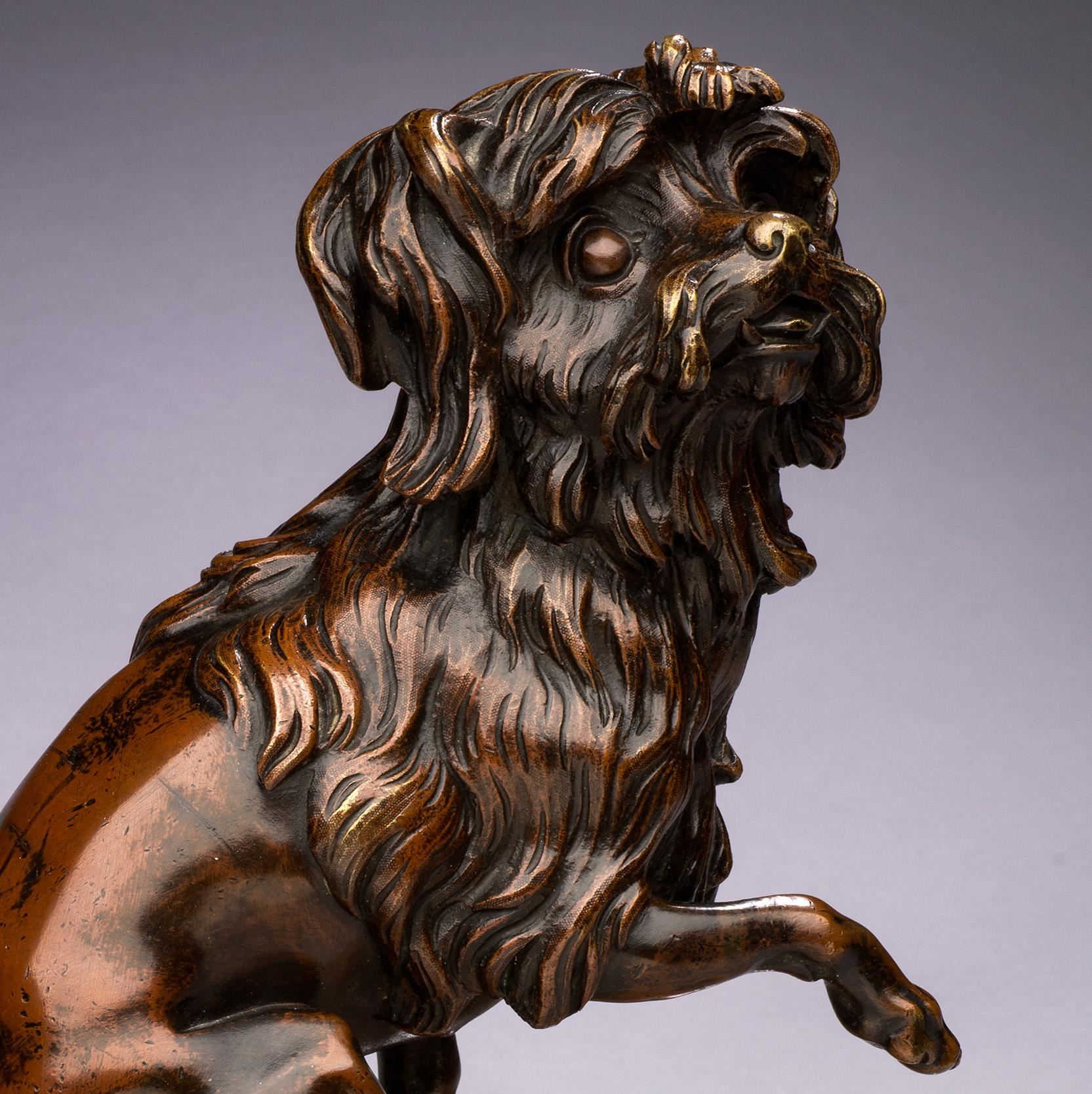 Antique Bronze Dog Portrait of a  Maltese on a Marble Base
French 19th century  
1/2 x 8 x 5 1/2 inches

The chiseled bronze has a nuanced, rich brown patina depicting a Maltese in the round, seated on a quadrangular marble base decorated with very