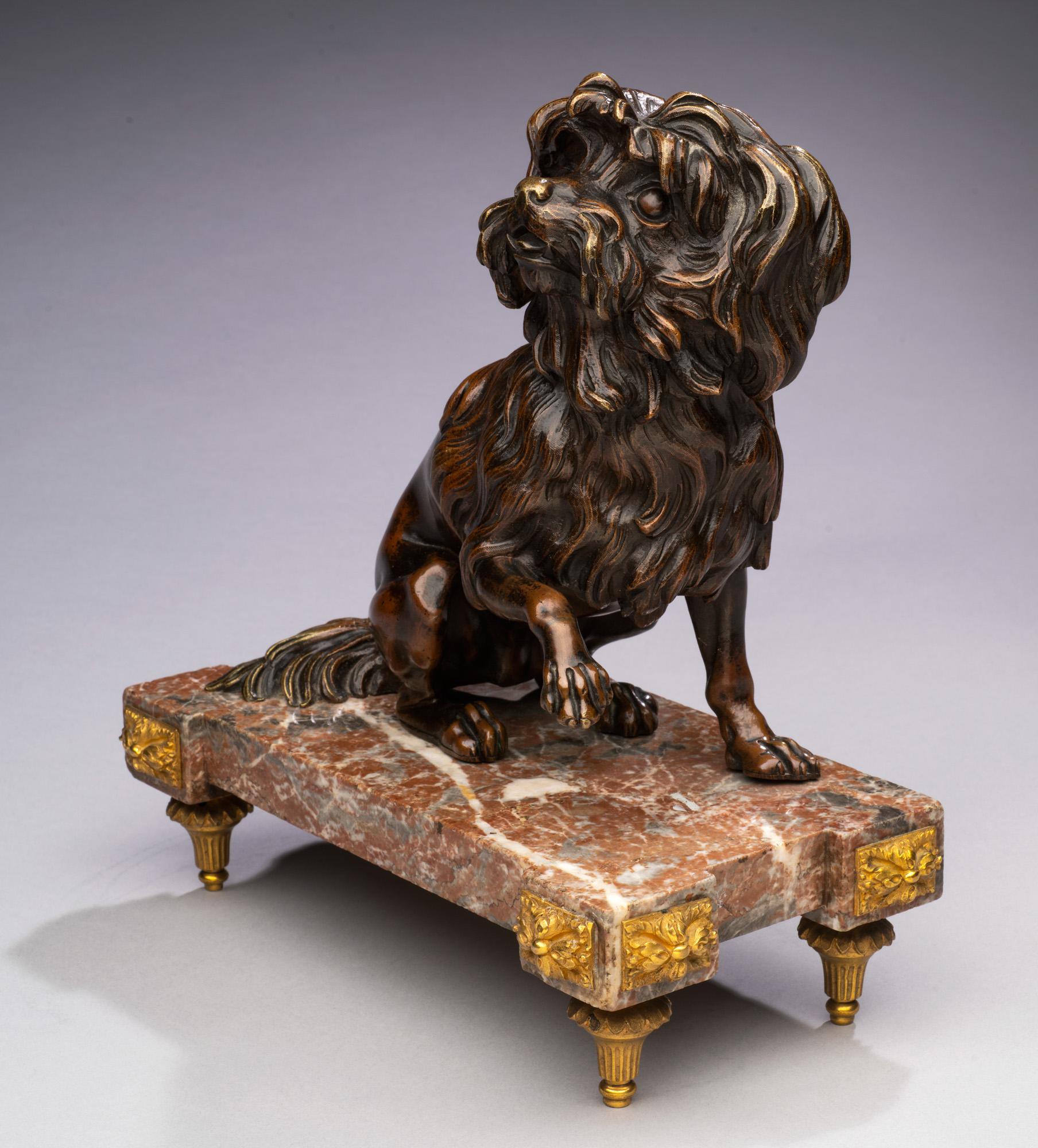 Antique 19th century Bronze Dog Portrait of a Maltese on a Marble Base For Sale 1