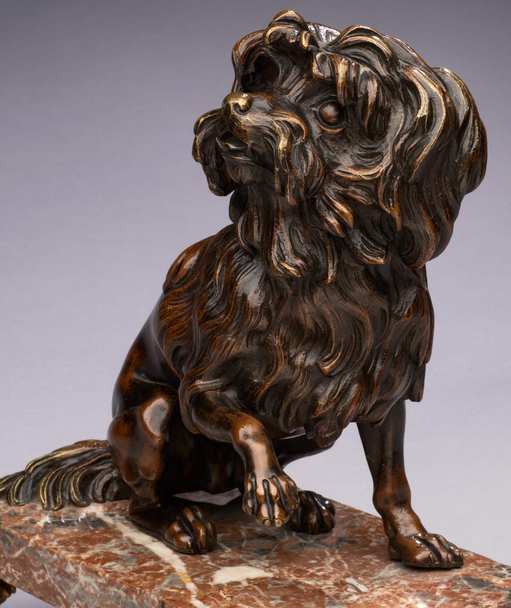 Antique 19th century Bronze Dog Portrait of a Maltese on a Marble Base For Sale 2