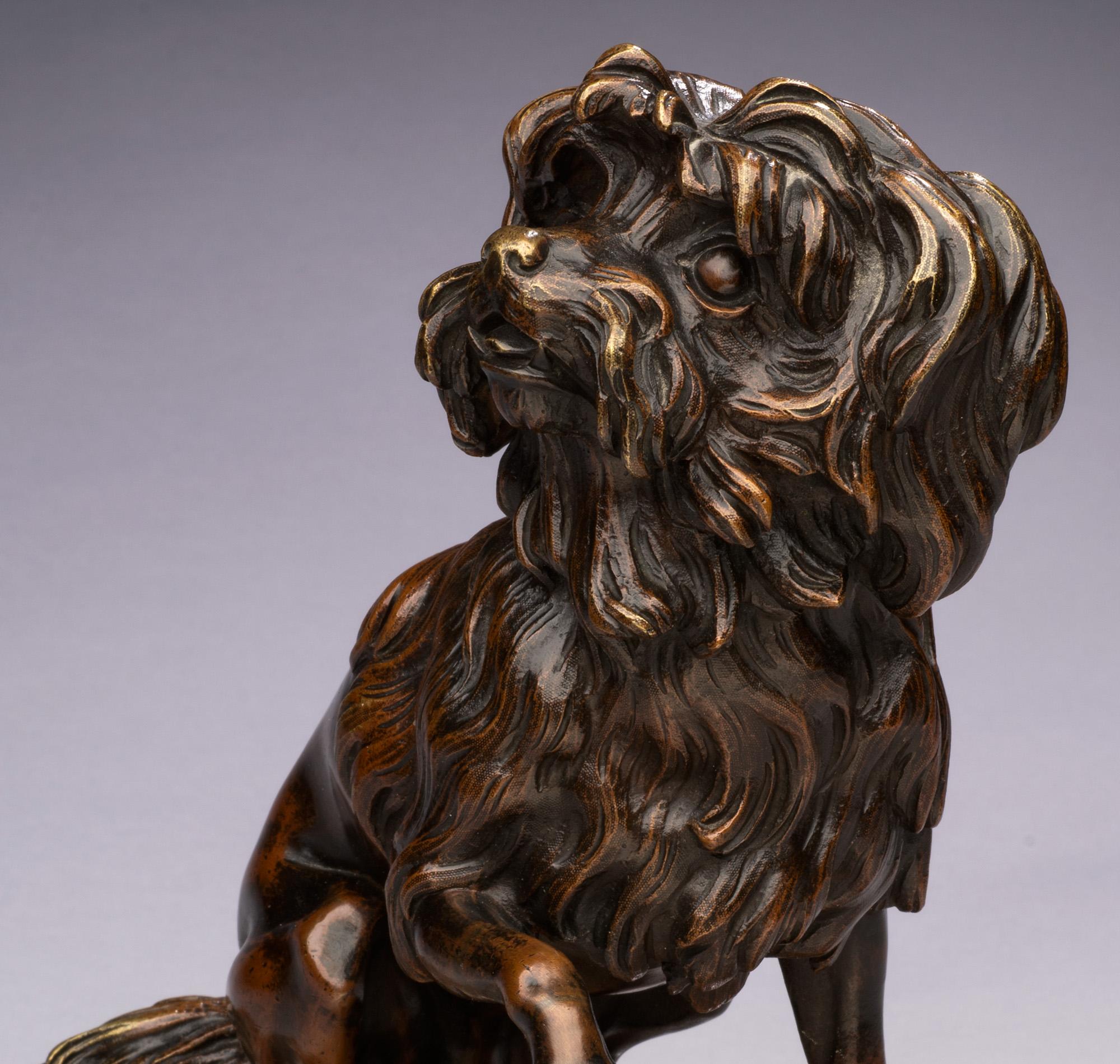Antique 19th century Bronze Dog Portrait of a Maltese on a Marble Base For Sale 3