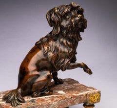 Antiguo retrato canino en bronce del siglo XIX de un maltés sobre una base de mármol