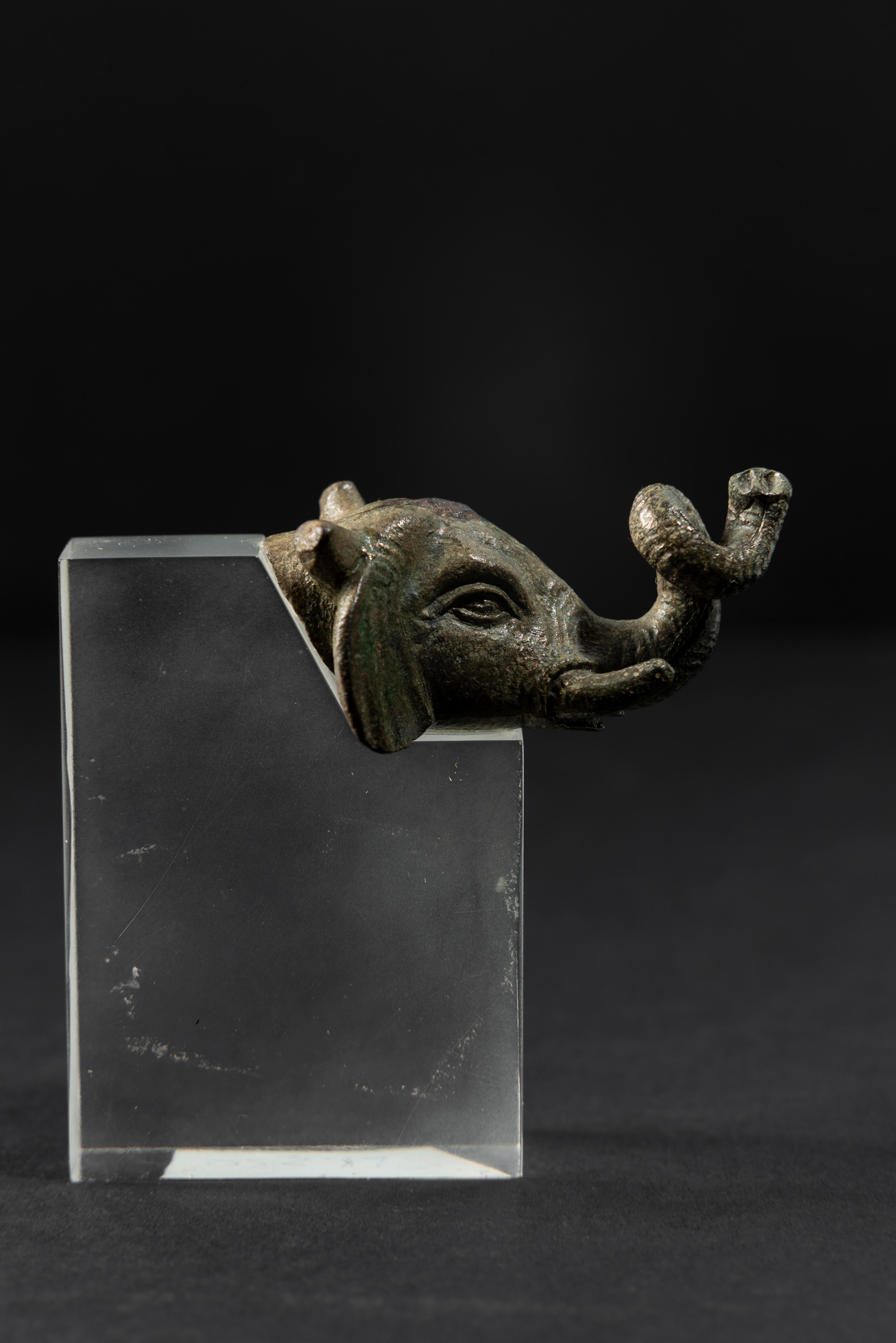 ANCIENT BRONZE HEAD OF AN ELEPHANT, ROMAN EMPIRE 2ND CENTURY AD - Sculpture by Unknown