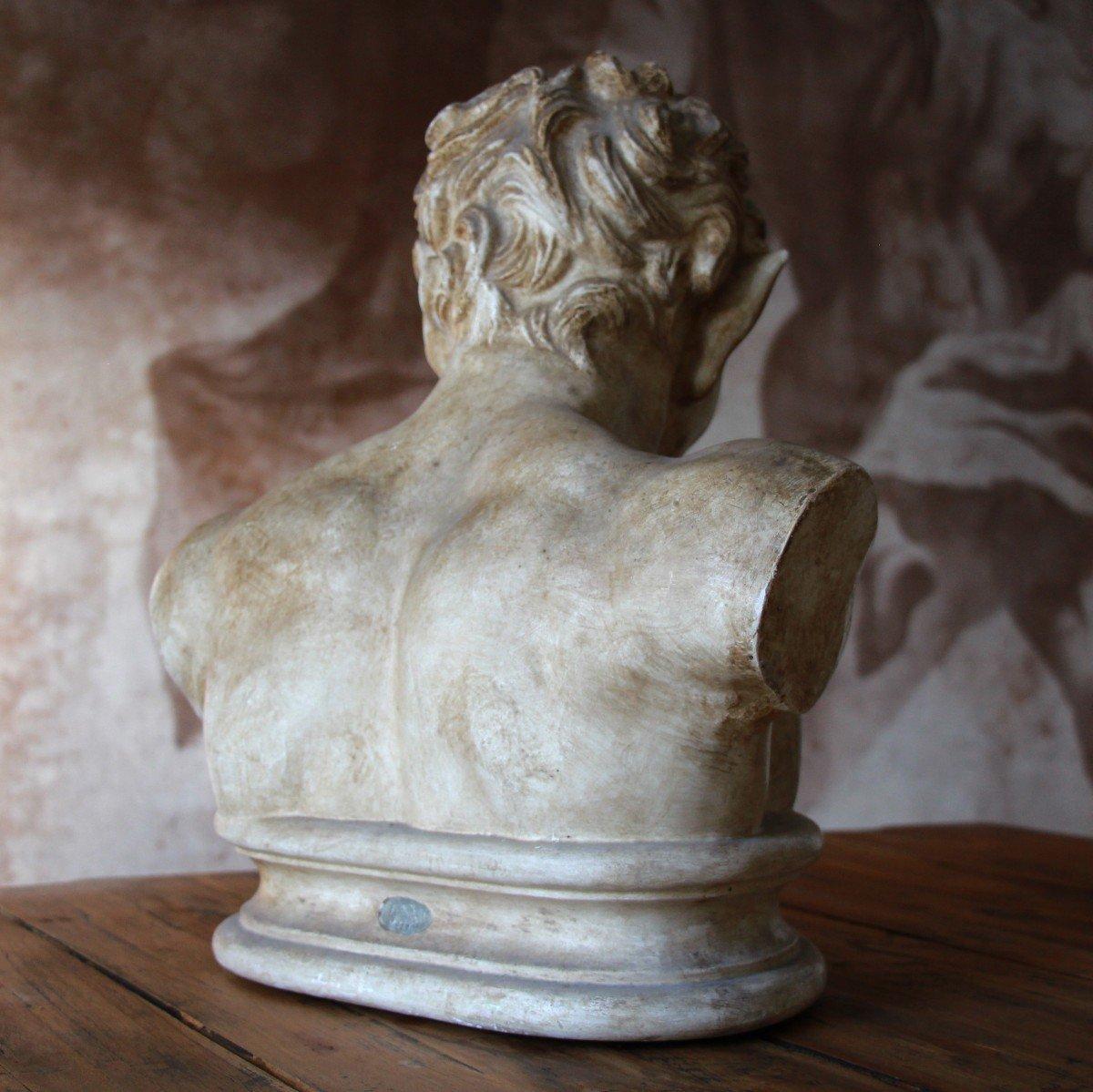 Bust in patinated plaster 