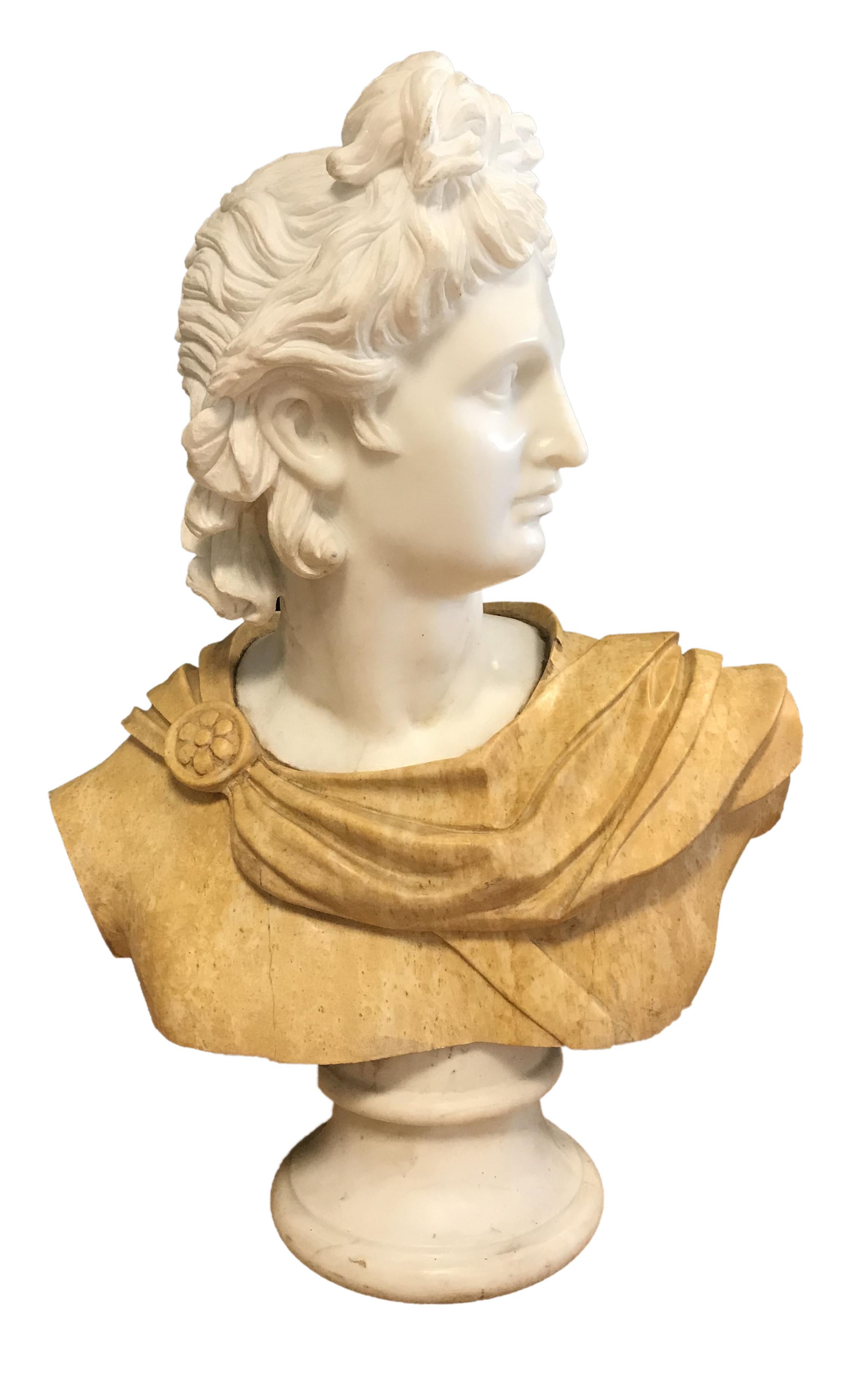 Bust of Apollo - Carrara Marble and Yellow Marble by Unknown Master Early 1900