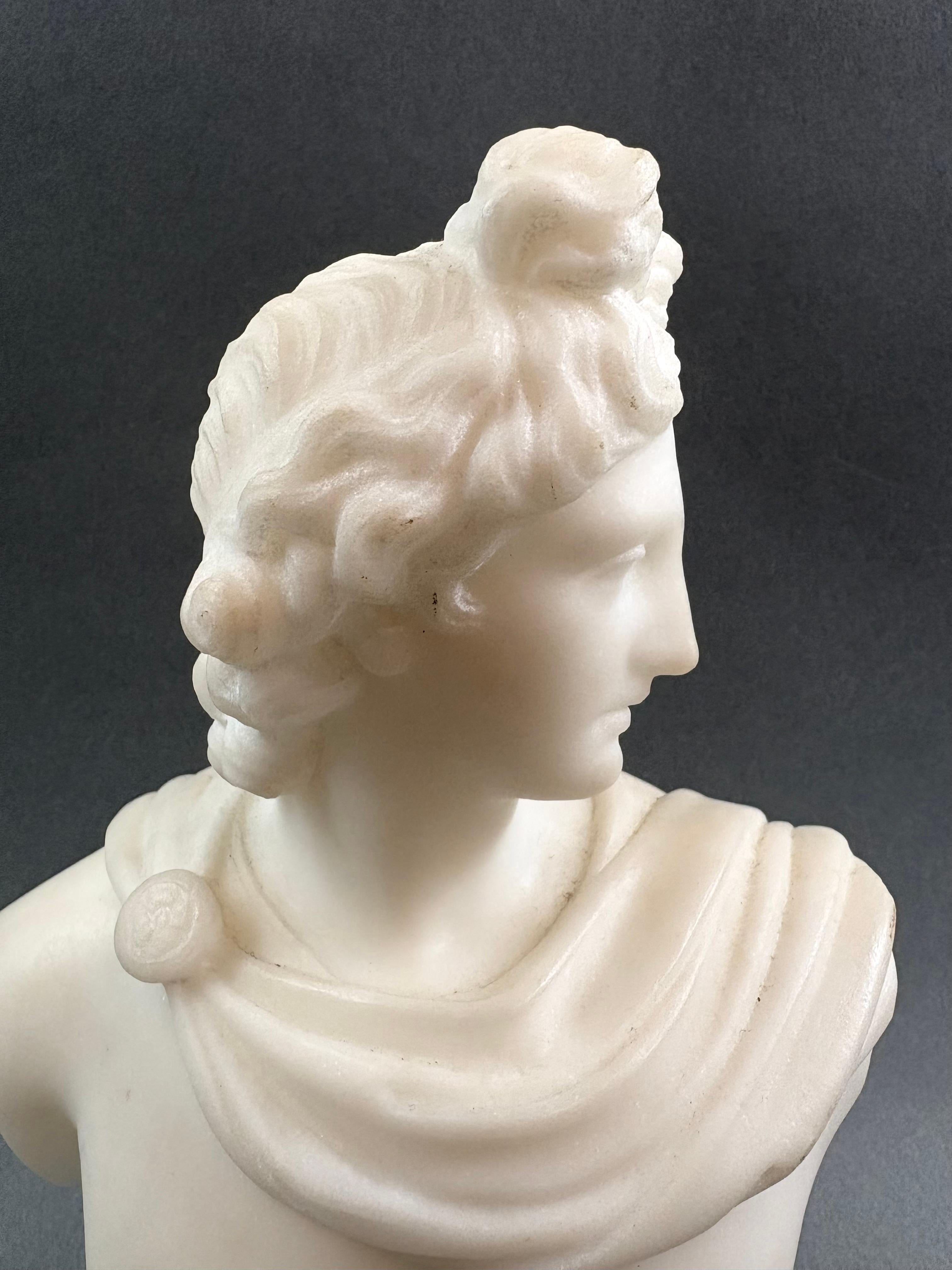 Busto Neoclassico in Marmo Apollo del Belvedere epoca Grand Tour - Sculpture di Unknown