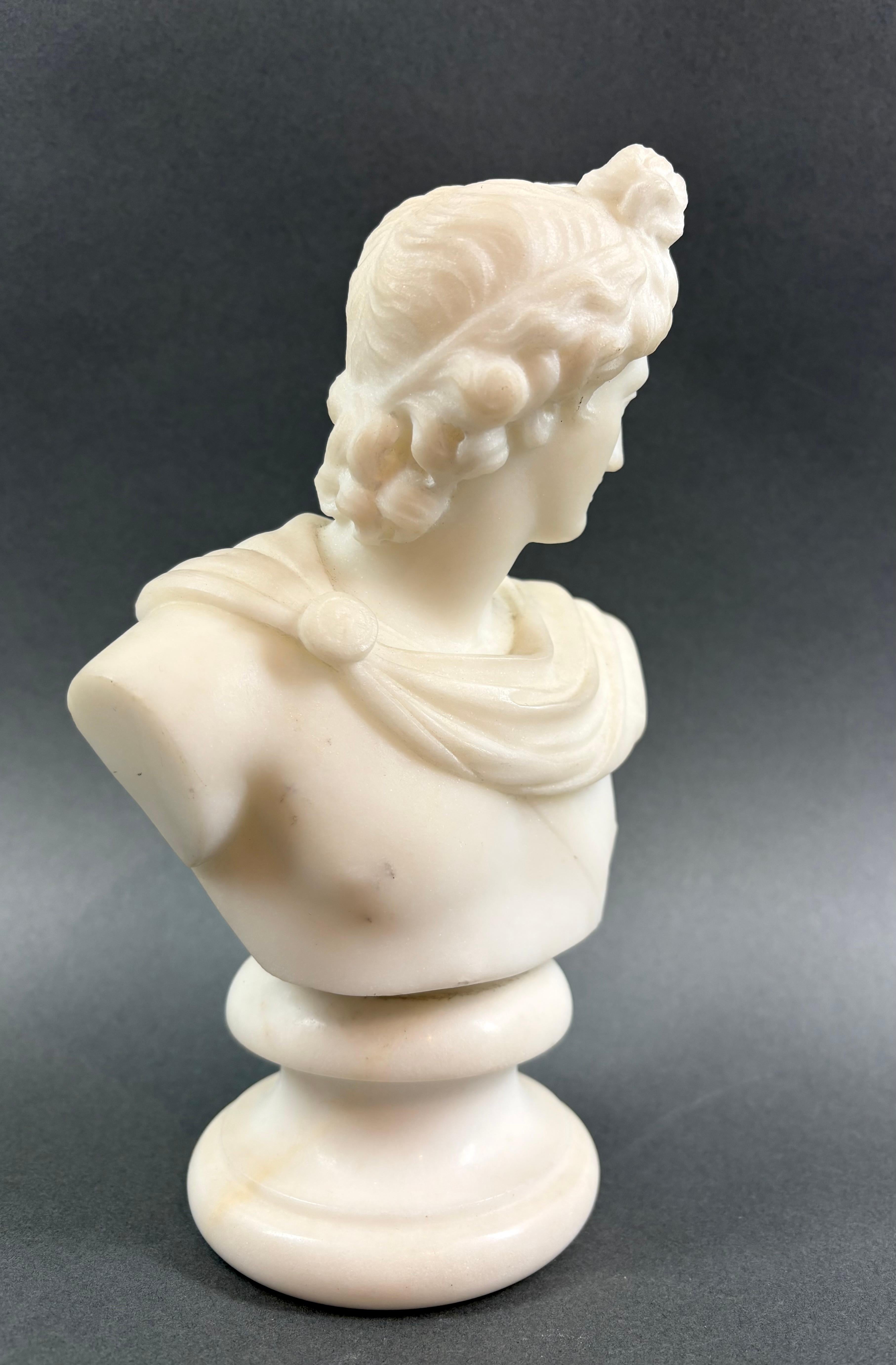 Busto Neoclassico in Marmo Apollo del Belvedere epoca Grand Tour - Sculpture Accademia di Unknown