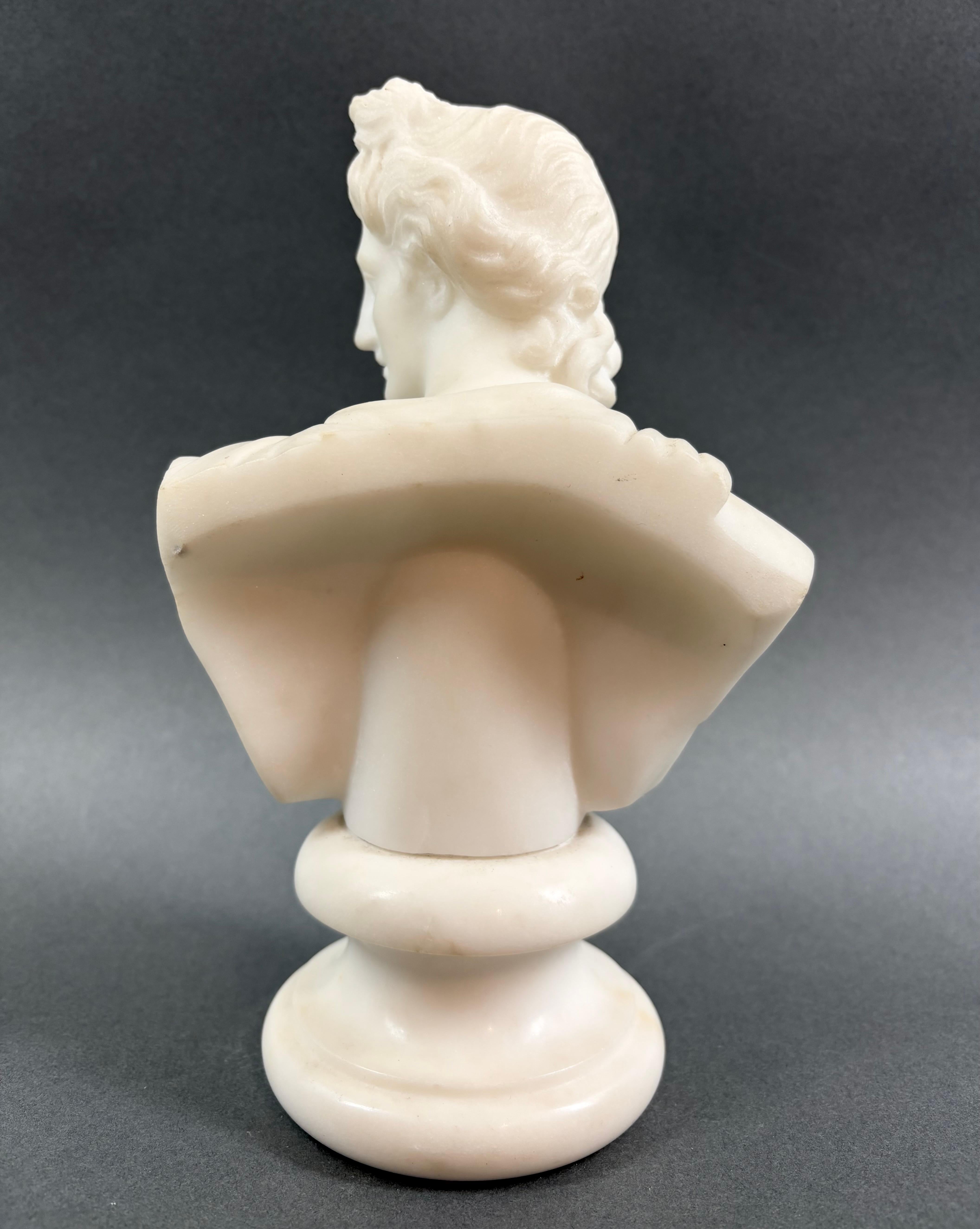 Busto Neoclassico in Marmo Apollo del Belvedere epoca Grand Tour - Figurative Sculpture Grigio di Unknown
