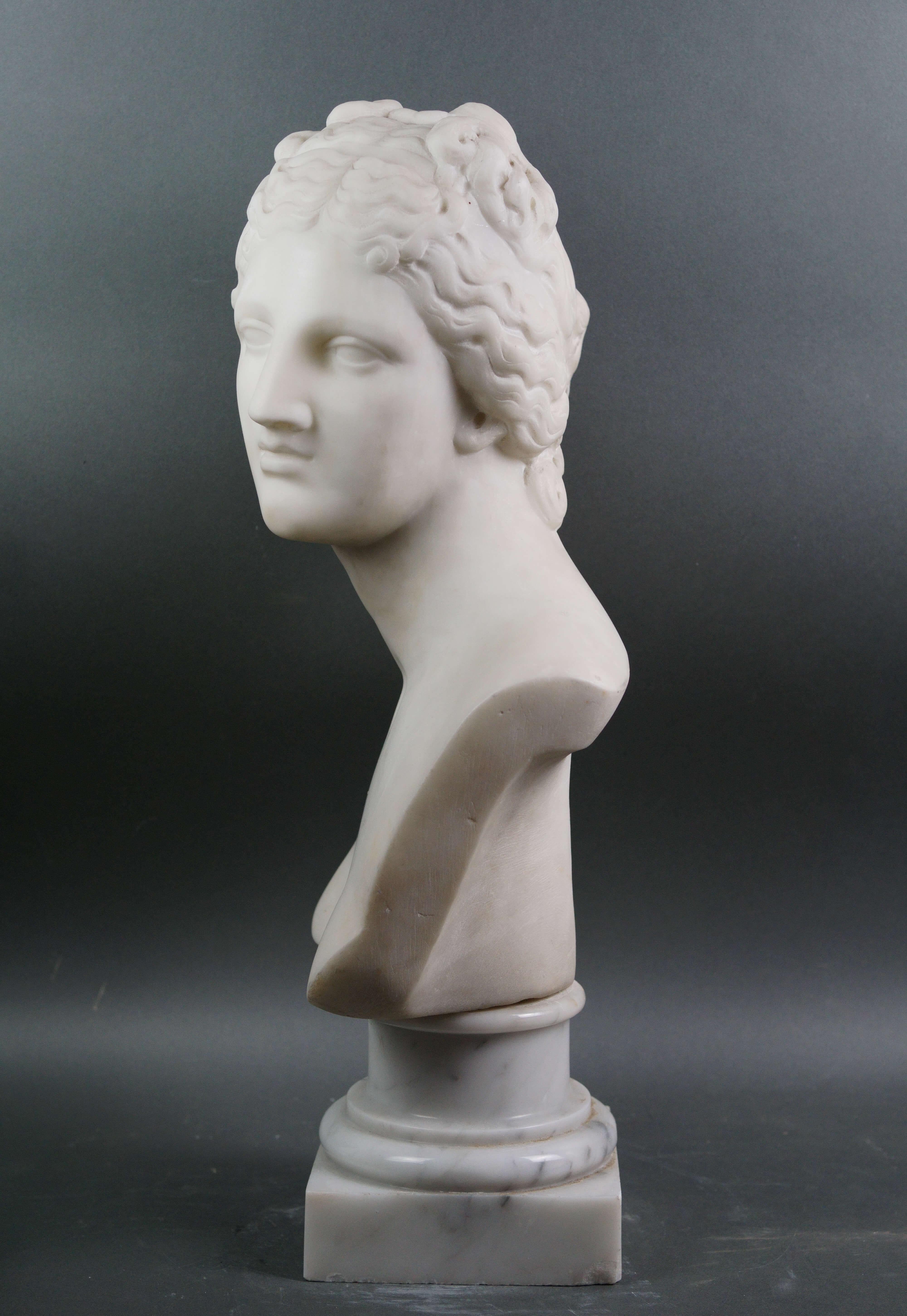 Busto Neoclassico in Marmo Bianco della venere dei Medici Roma XIX secolo - Sculpture di Unknown