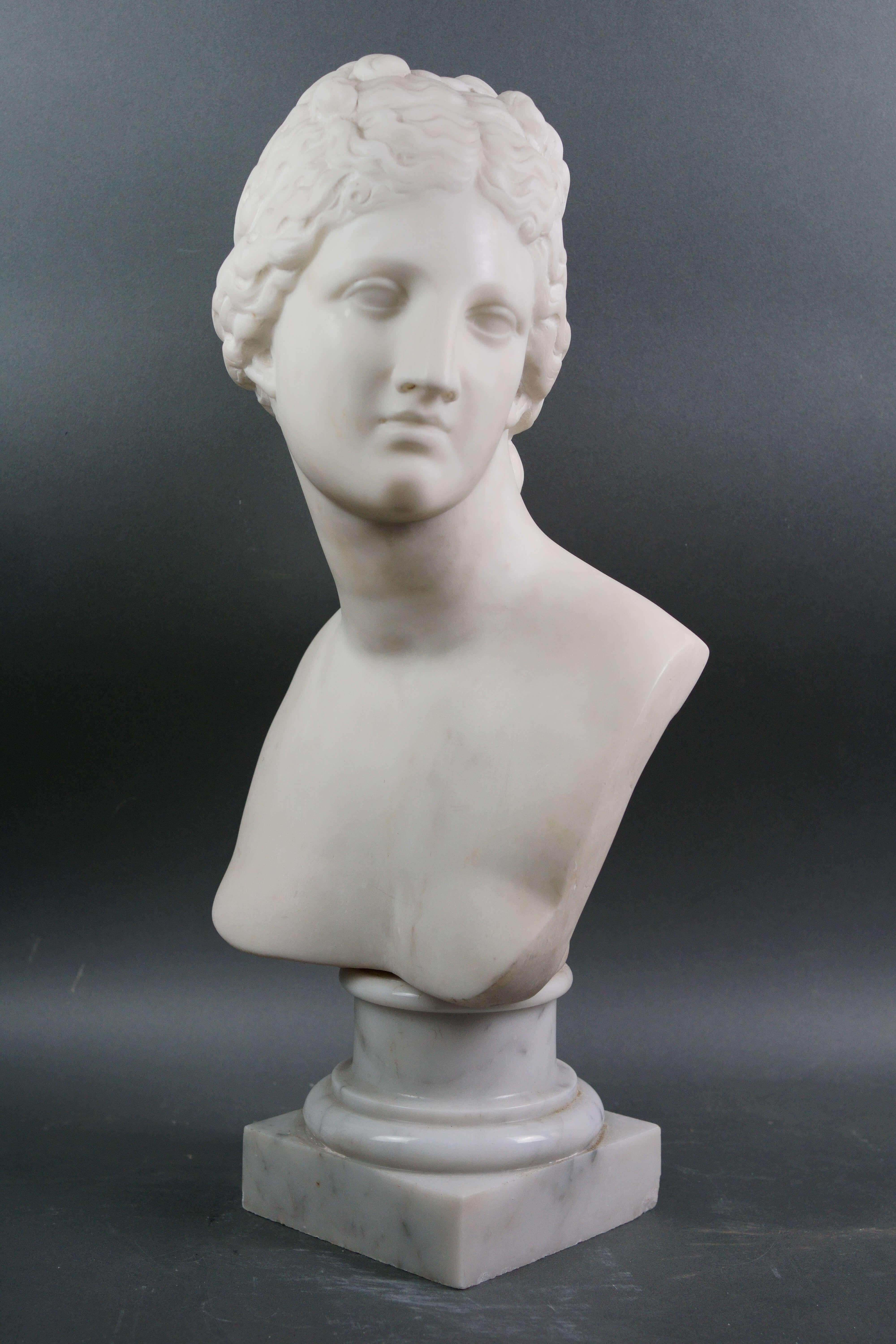 Busto Neoclassico in Marmo Bianco della venere dei Medici Roma XIX secolo - Figurative Sculpture Black di Unknown