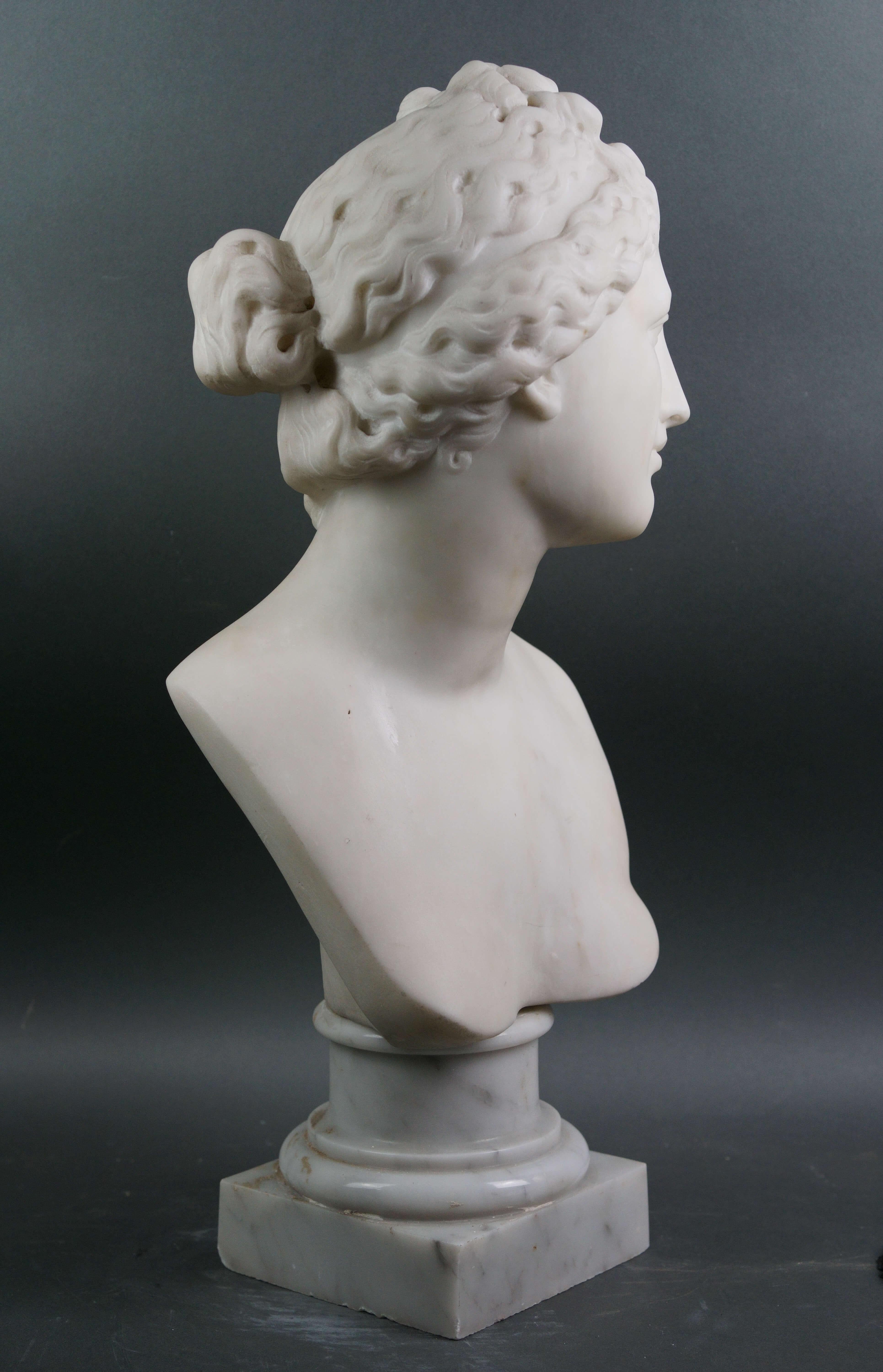 Busto Neoclassico in Marmo Bianco della venere dei Medici Roma XIX secolo 1