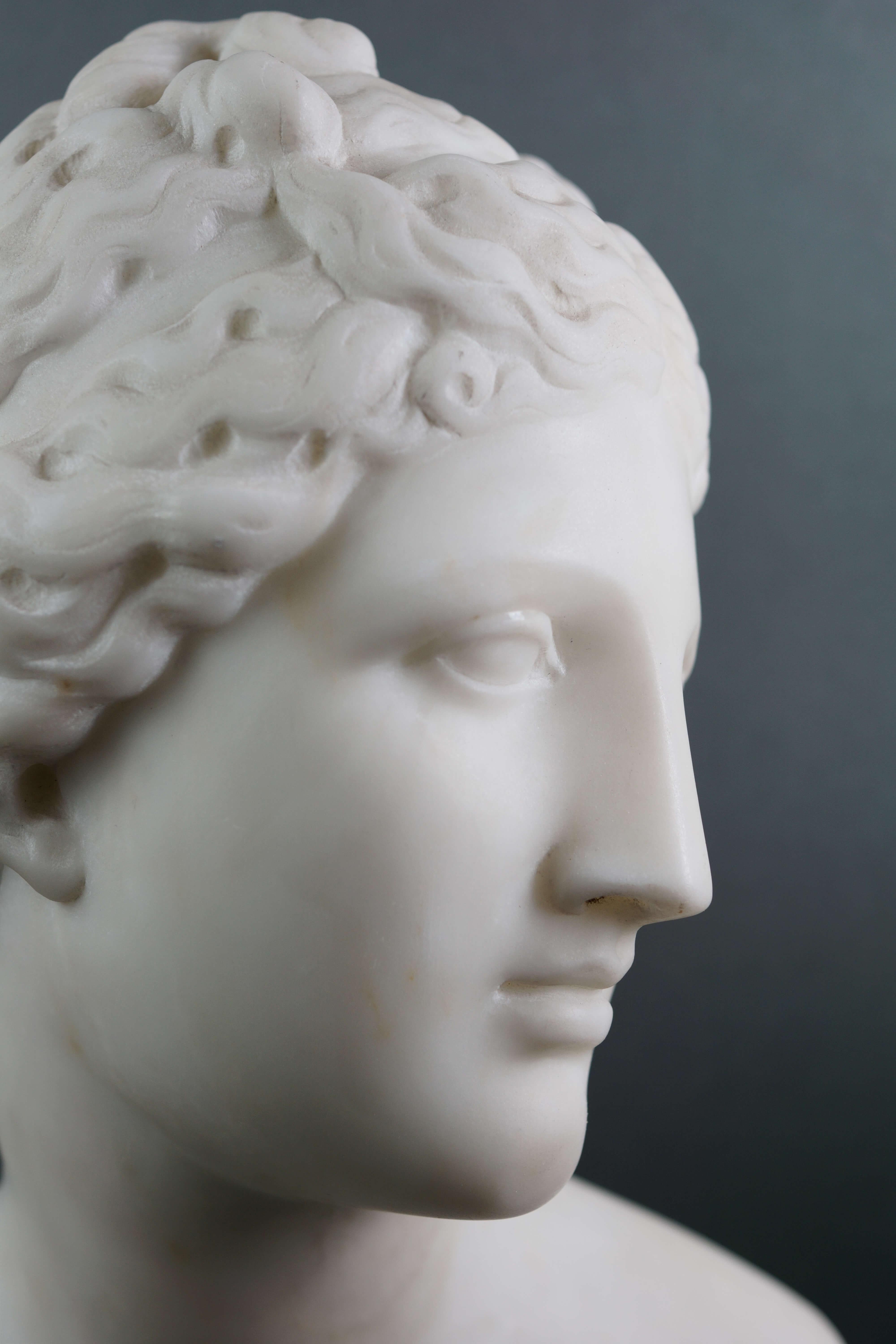 Busto Neoclassico in Marmo Bianco della venere dei Medici Roma XIX secolo 2