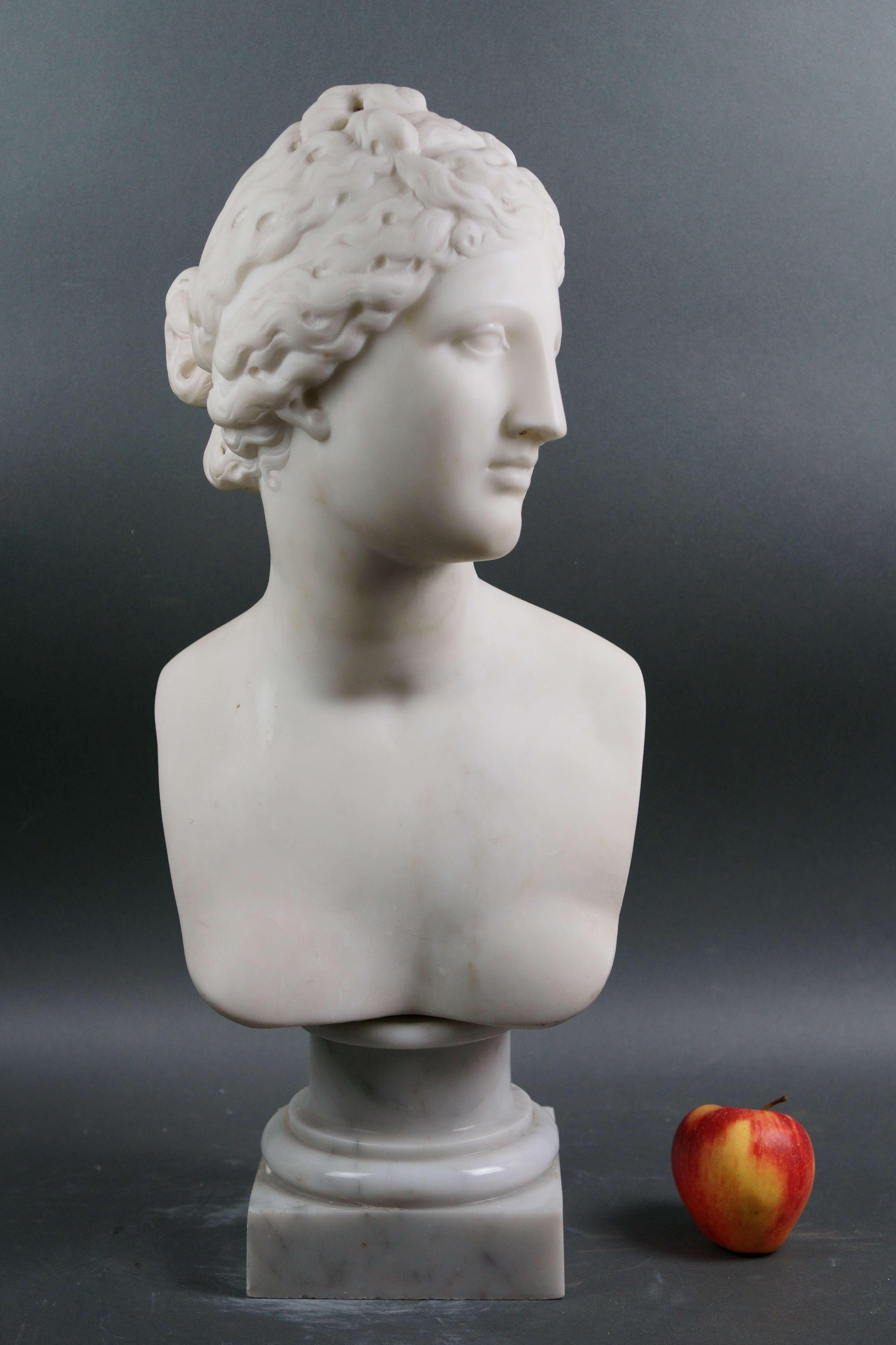 Busto Neoclassico in Marmo Bianco della venere dei Medici Roma XIX secolo 3