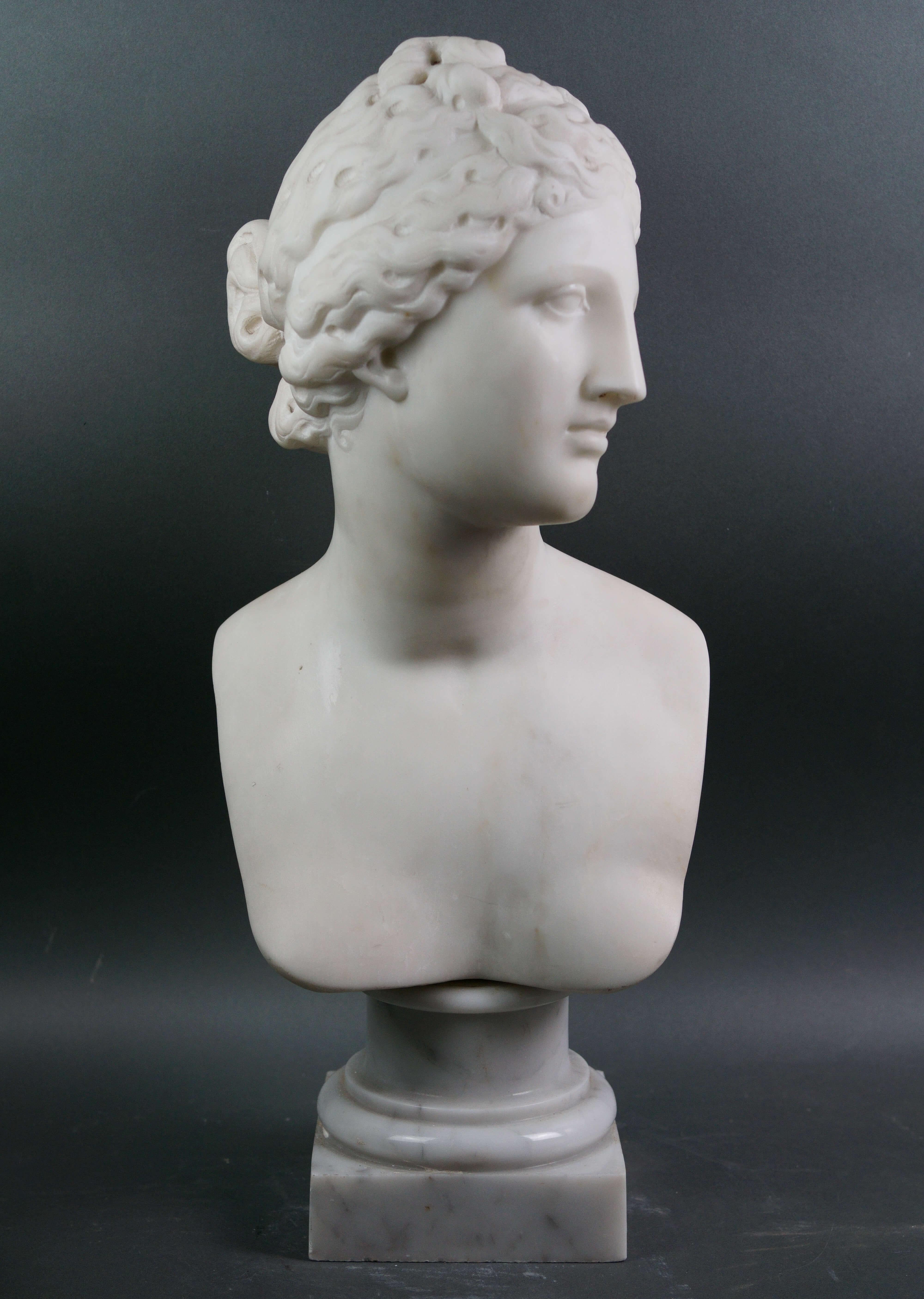 Figurative Sculpture di Unknown - Busto Neoclassico in Marmo Bianco della venere dei Medici Roma XIX secolo