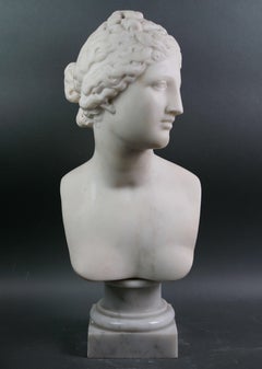 Neoclassical white marble bust of the Medici Venus Rome 19th century