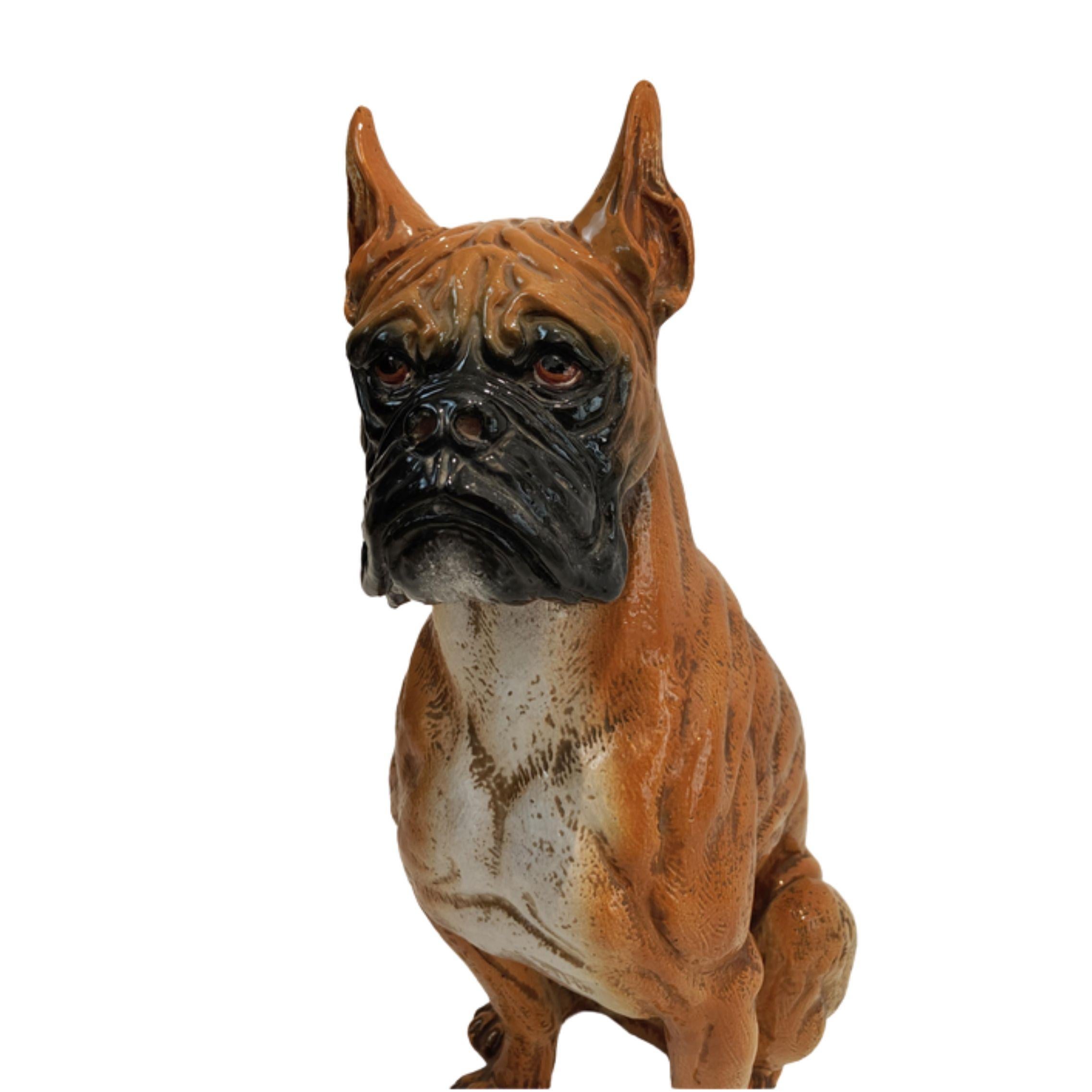 Chien de race Boxer en majolique fabriquée en Toscane, Italie, 1960 - Sculpture de Unknown