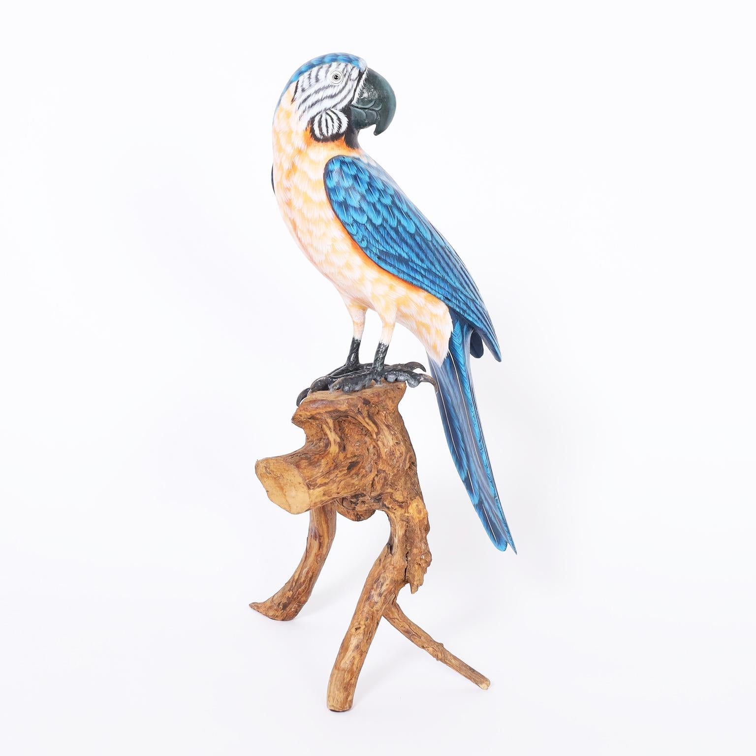 Life size, life like wood parrot expertly carved and painted with inspired accuracy, perched on an organic wood stand.