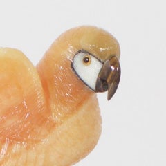 Carved Geode Hardstone Parrot Sculpture