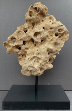 “Chinese Taihu Scholar Rock”