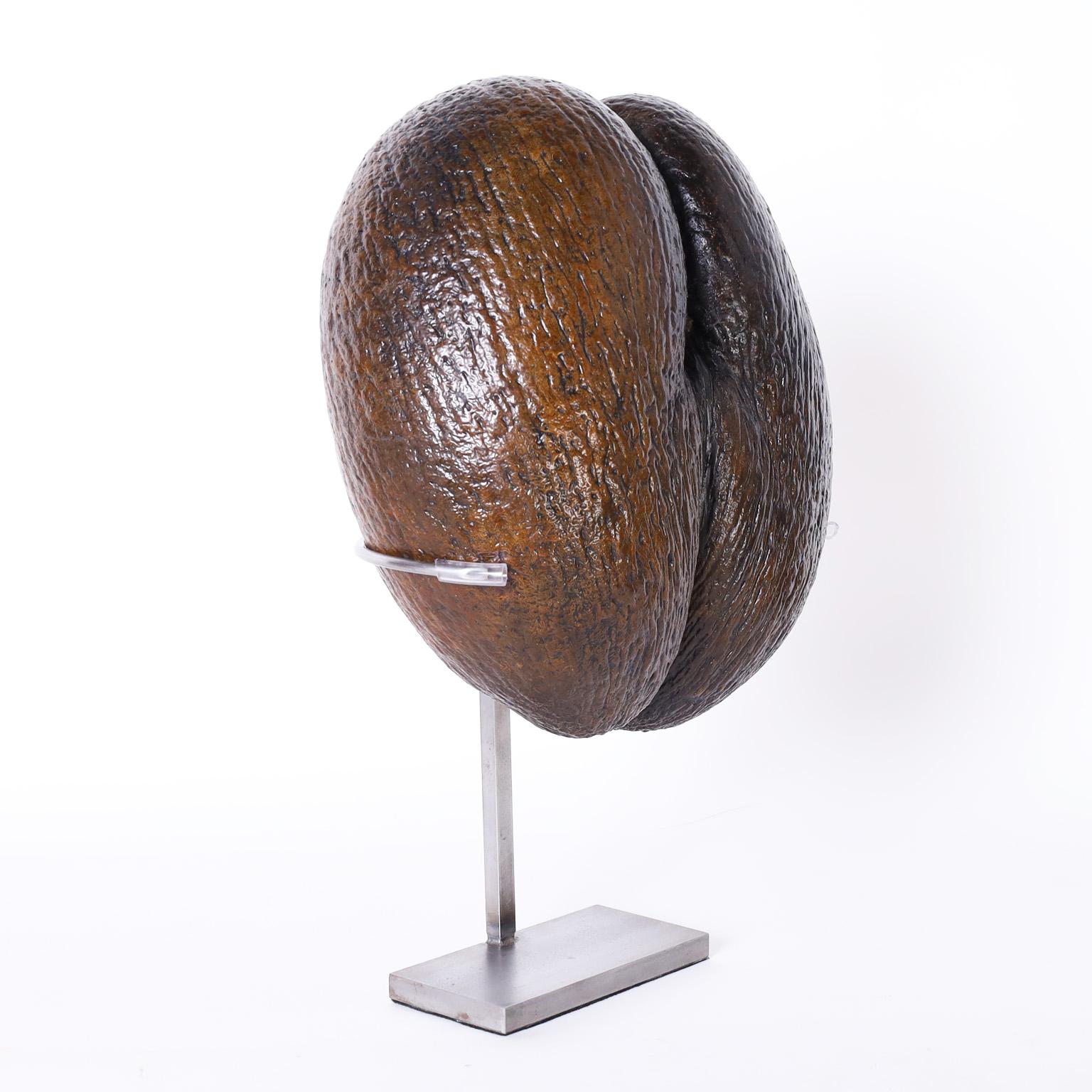 Coco de Mer on Stand - Other Art Style Sculpture by Unknown