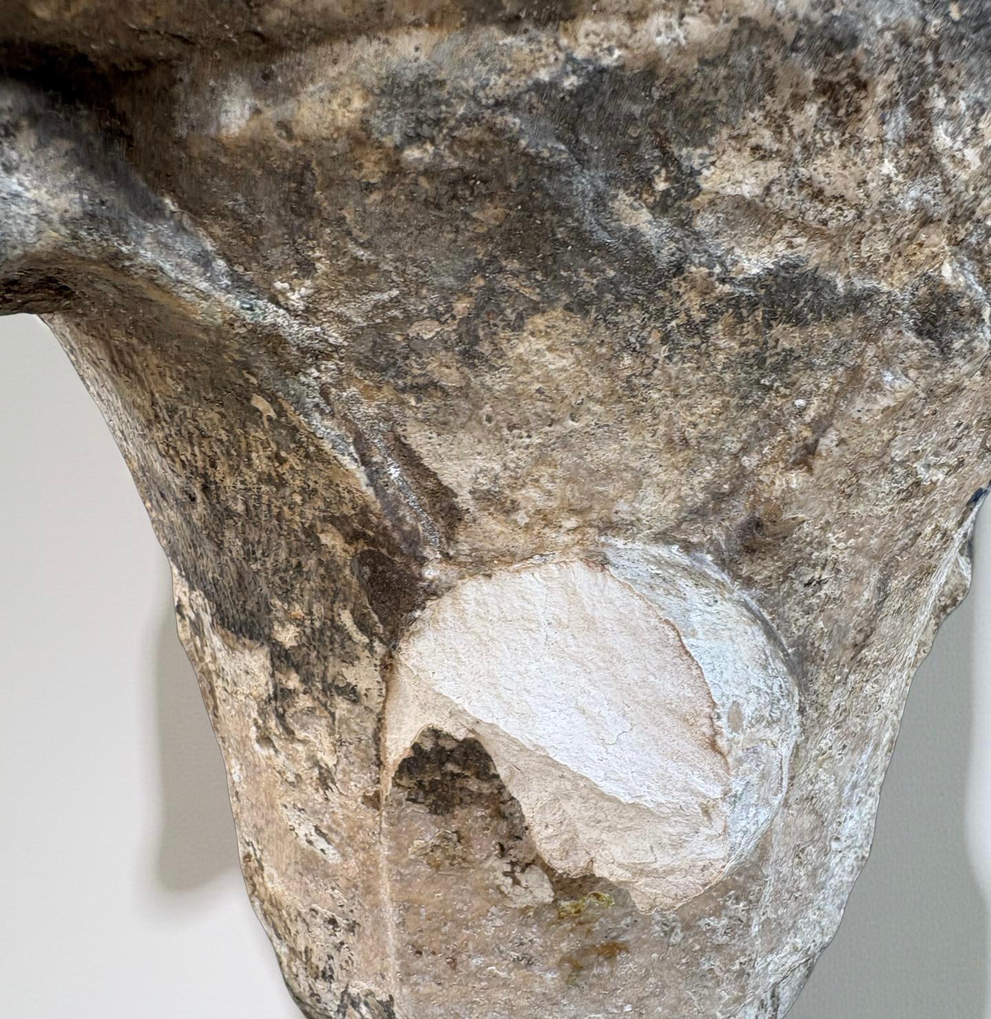 Coppia di Capitelli Medievali in Marmo di Zandobbio XII secolo For Sale 4