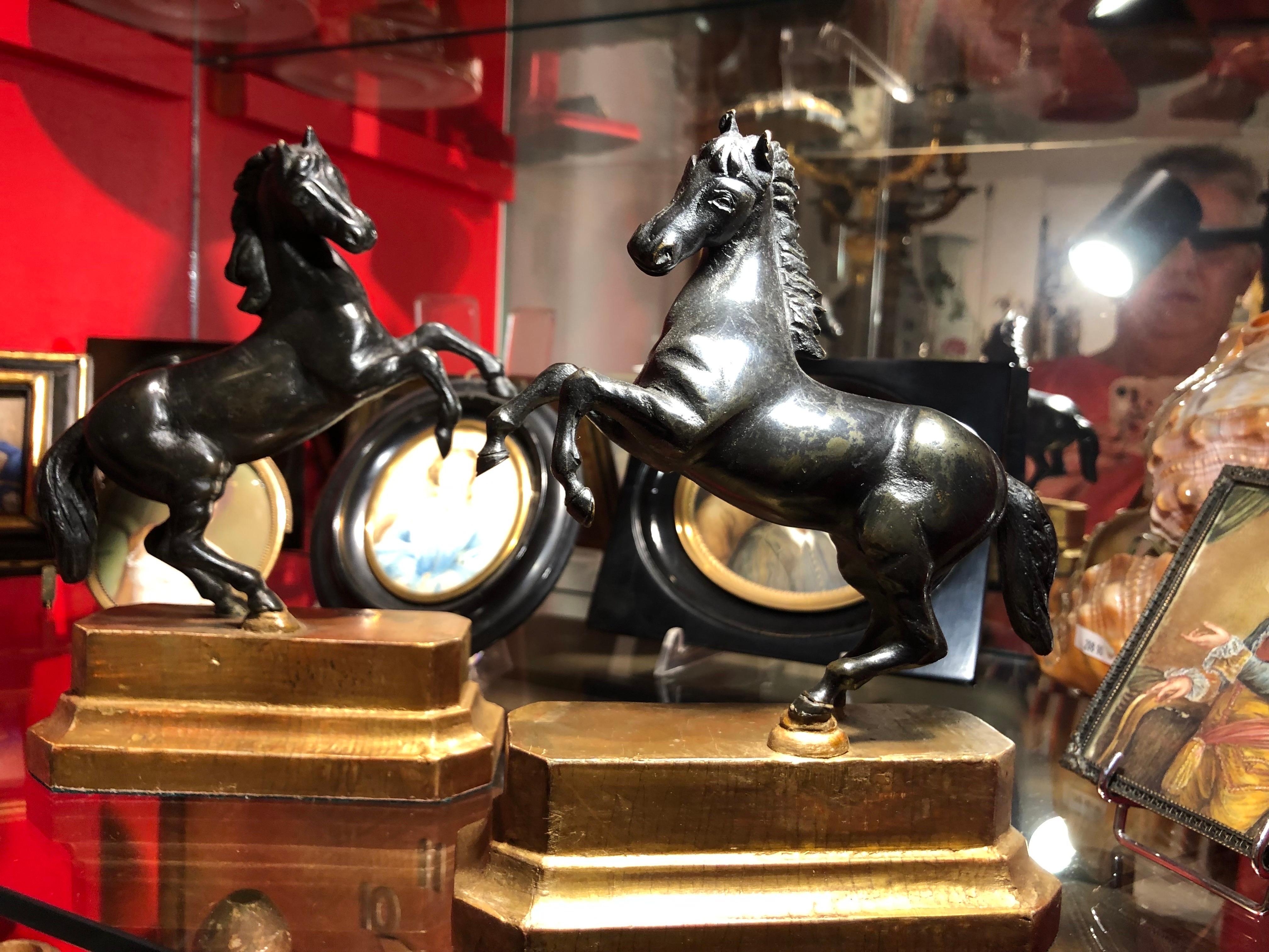 Coppia Di Cavalli In Bronzo Neoclassici Inizio 1800 Sculture Animalier Italiane en venta 10