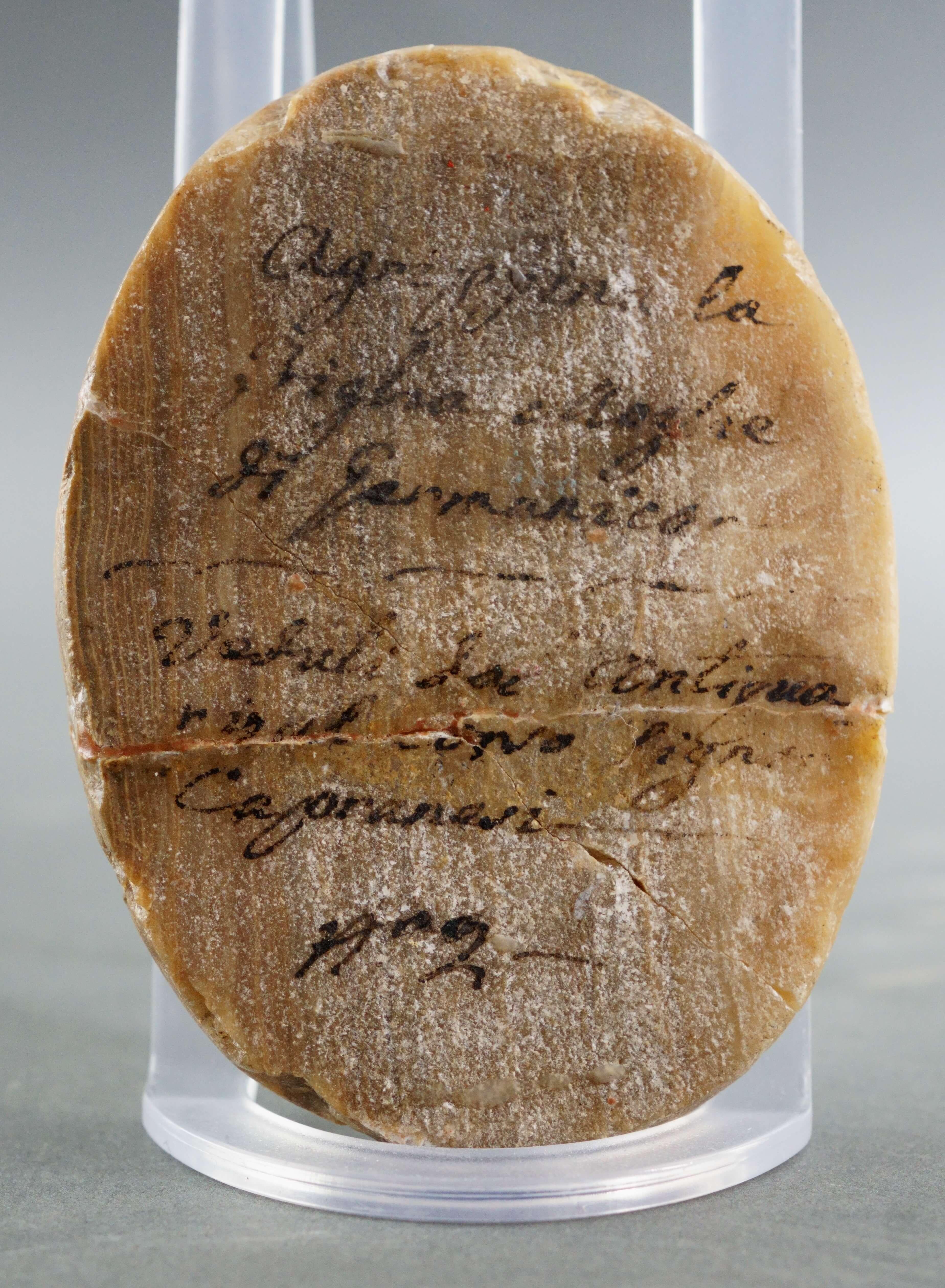 Paire d'anciens profils en marbre jaune d'impératrices romaines du 17e siècle en vente 3