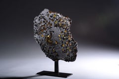 Cross section of the Seymchan Meteorite