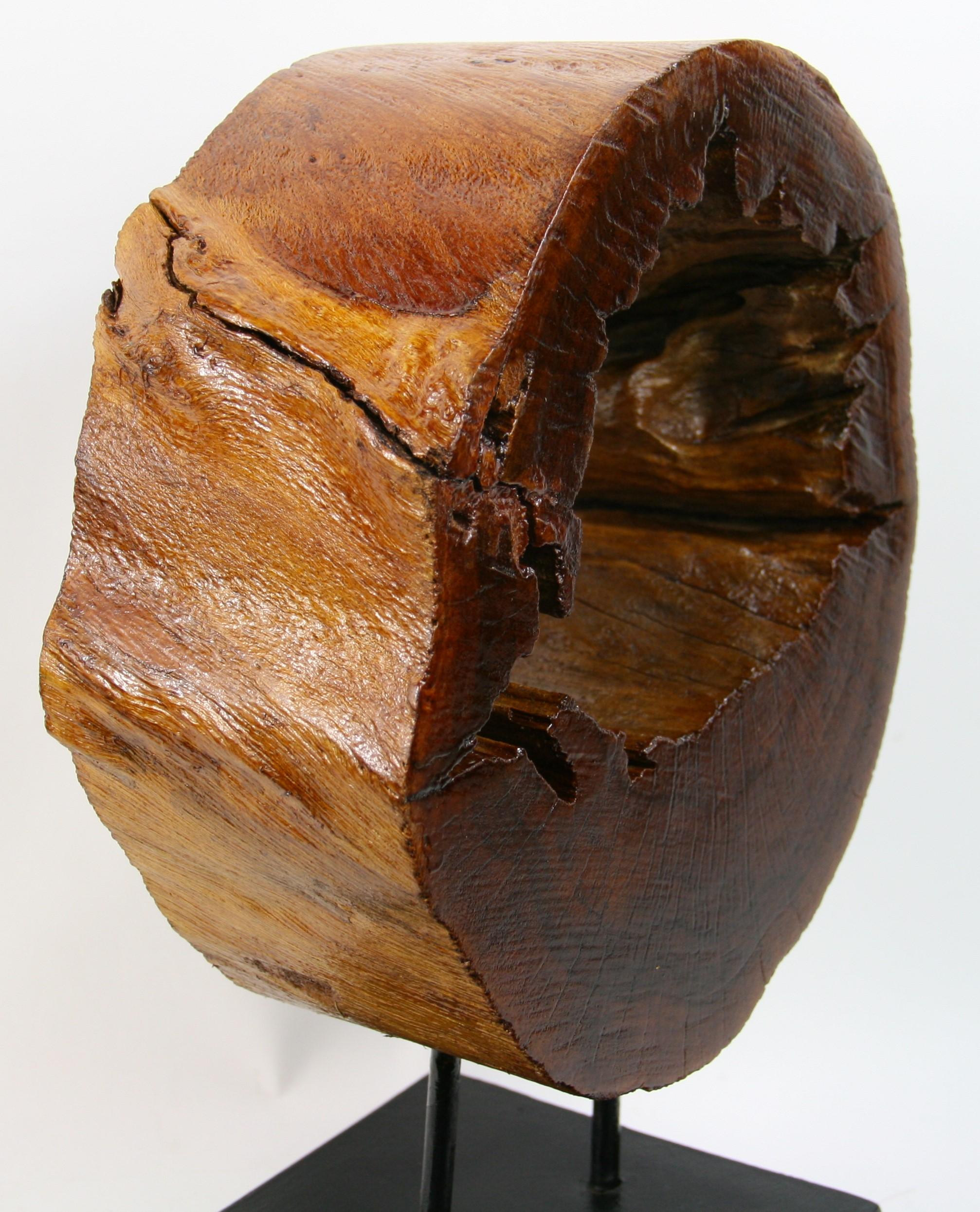 Cypress Tree Wood Sculpture by Brunelli - Brown Abstract Sculpture by Unknown