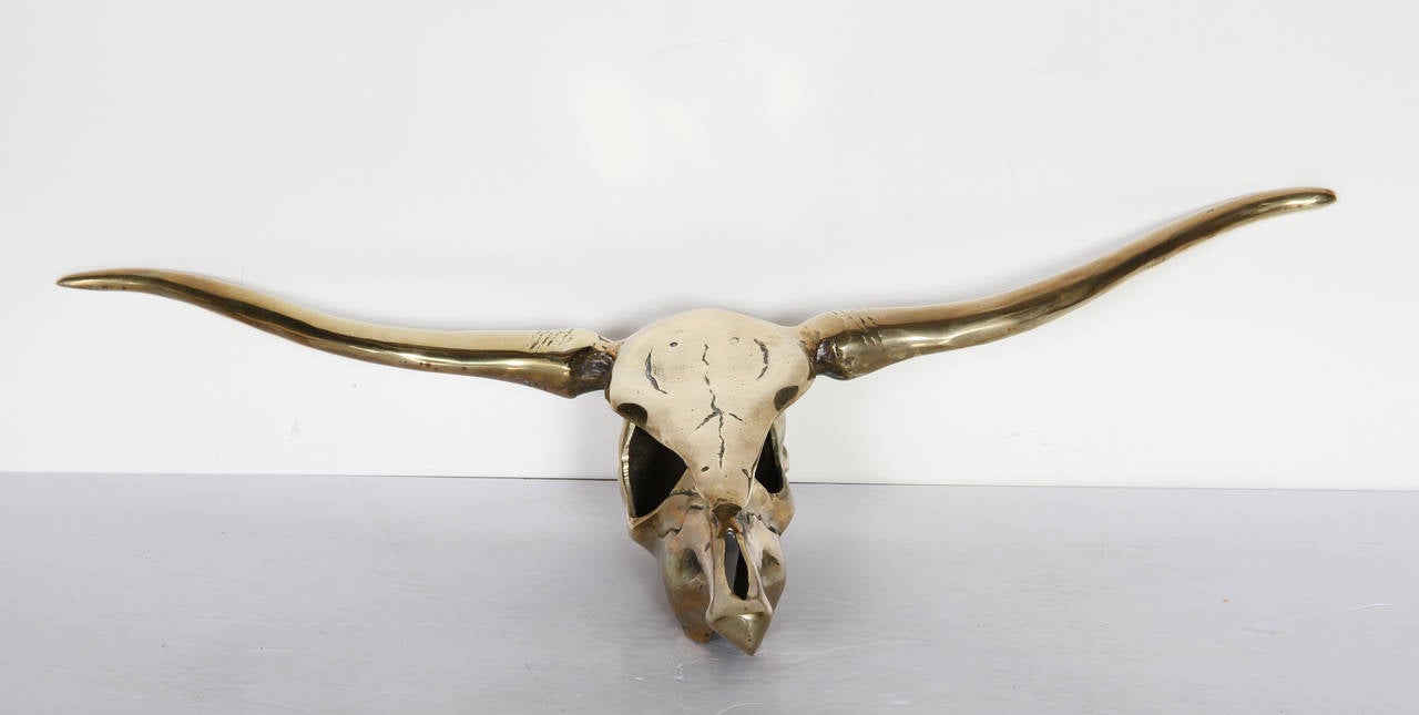 Decorative Longhorn Steer Skull - Sculpture by Unknown