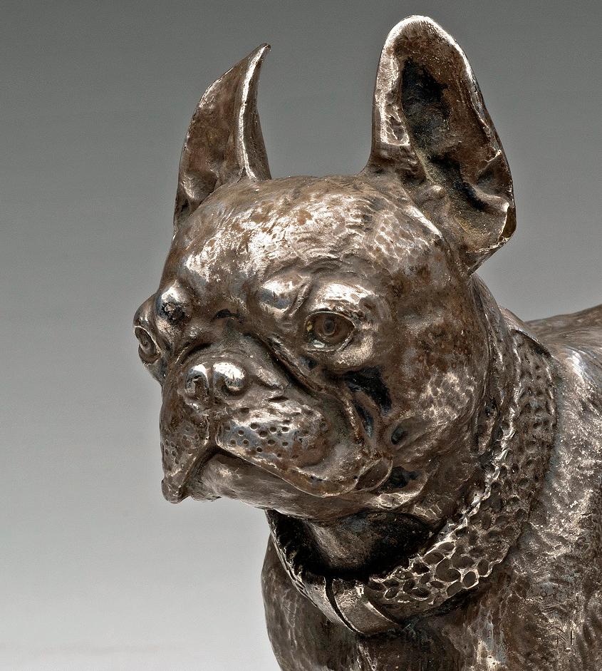 Dog Portrait of a Silvered Bronze French Bulldog circa 1880s-1890s - Sculpture by Unknown
