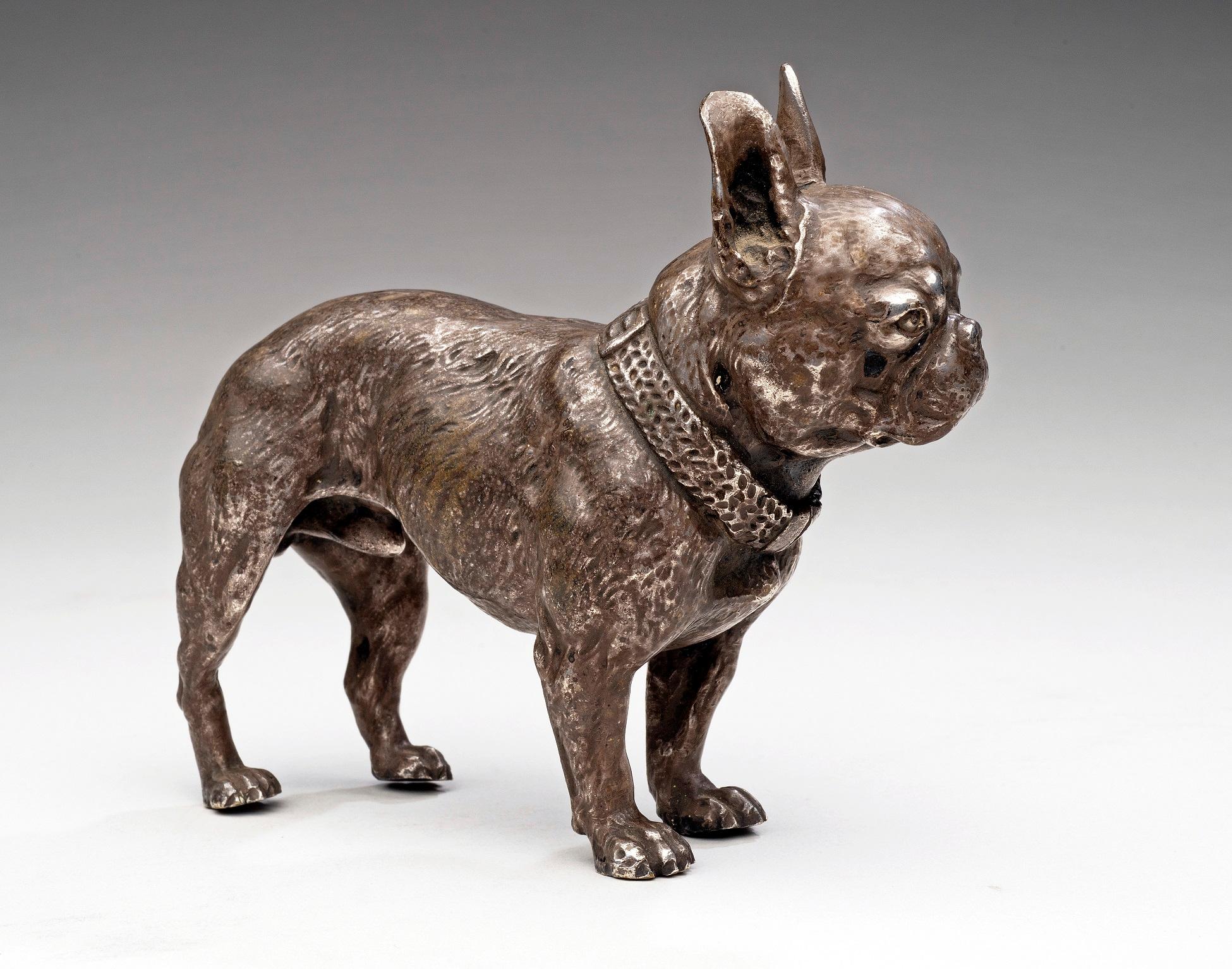 Dog Portrait of a Silvered Bronze French Bulldog circa 1880s-1890s - Realist Sculpture by Unknown