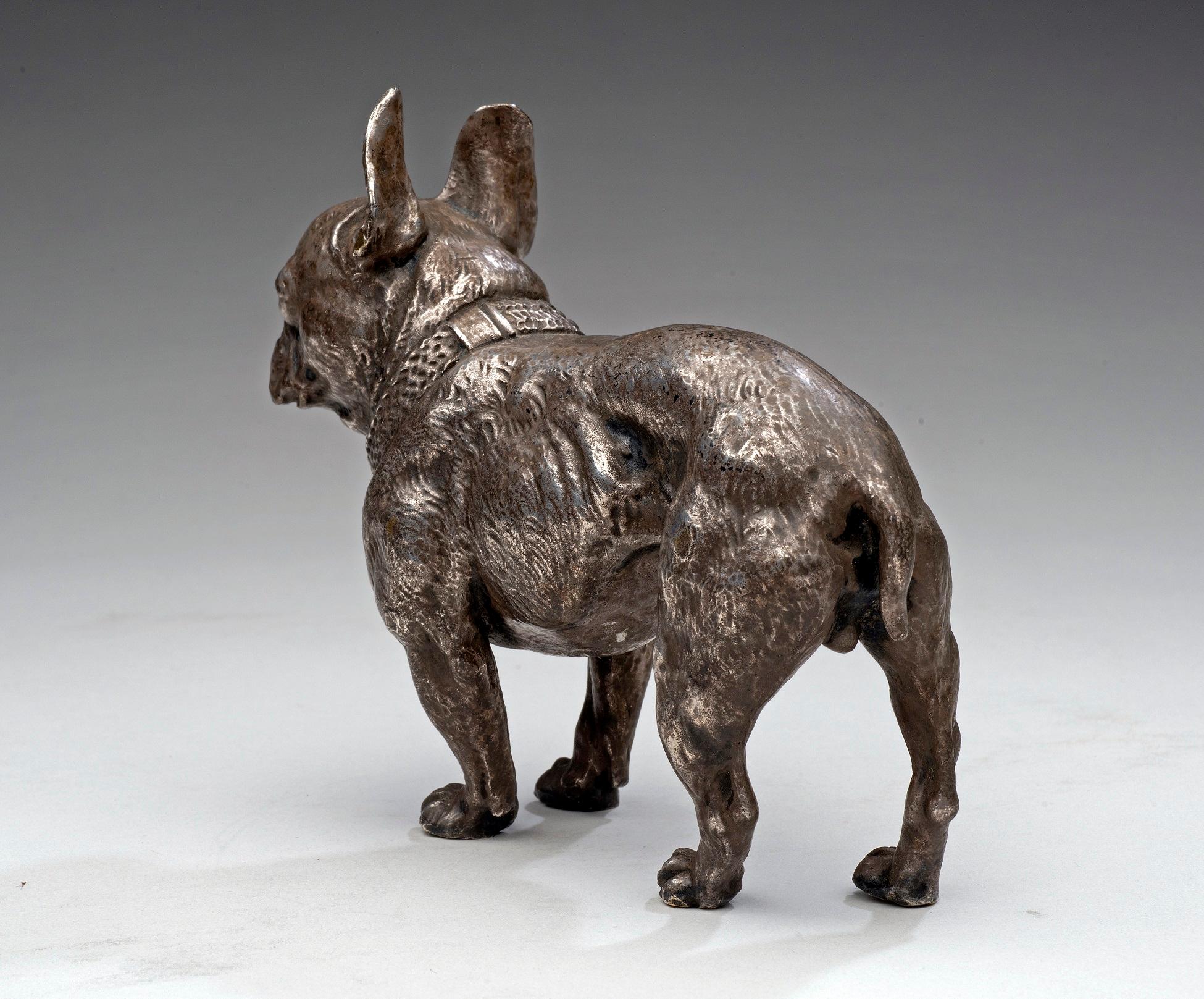 Dog Portrait of a Silvered Bronze French Bulldog circa 1880s-1890s - Gold Figurative Sculpture by Unknown