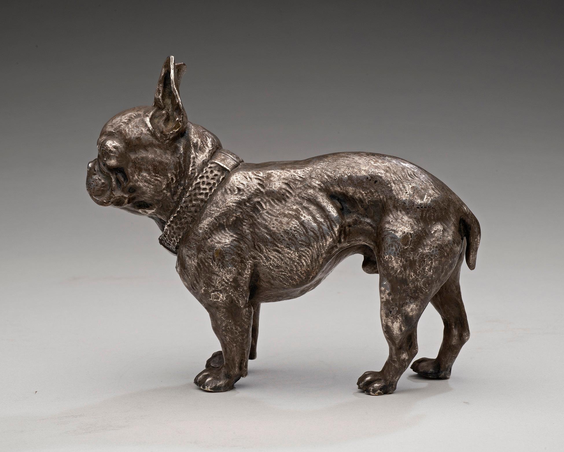 Portrait of a French Bulldog
European School, probably Austrian ca, 1890
Cast bronze with silver plating
4 1/2 x 5 1/2 inches

This highly naturalistic bronze and silver casting was undoubtedly executed as an actual portrait of a beloved family